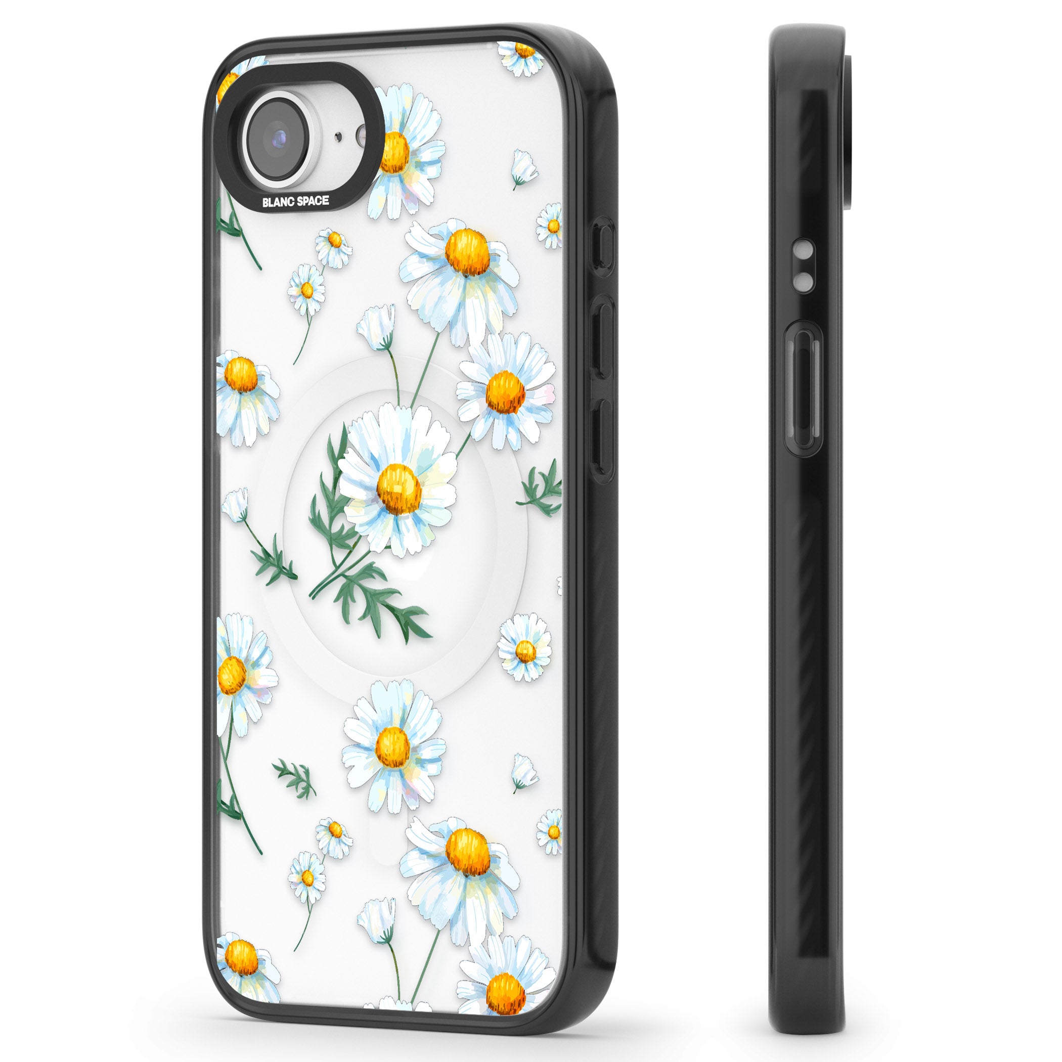 Vintage Painted Daisies