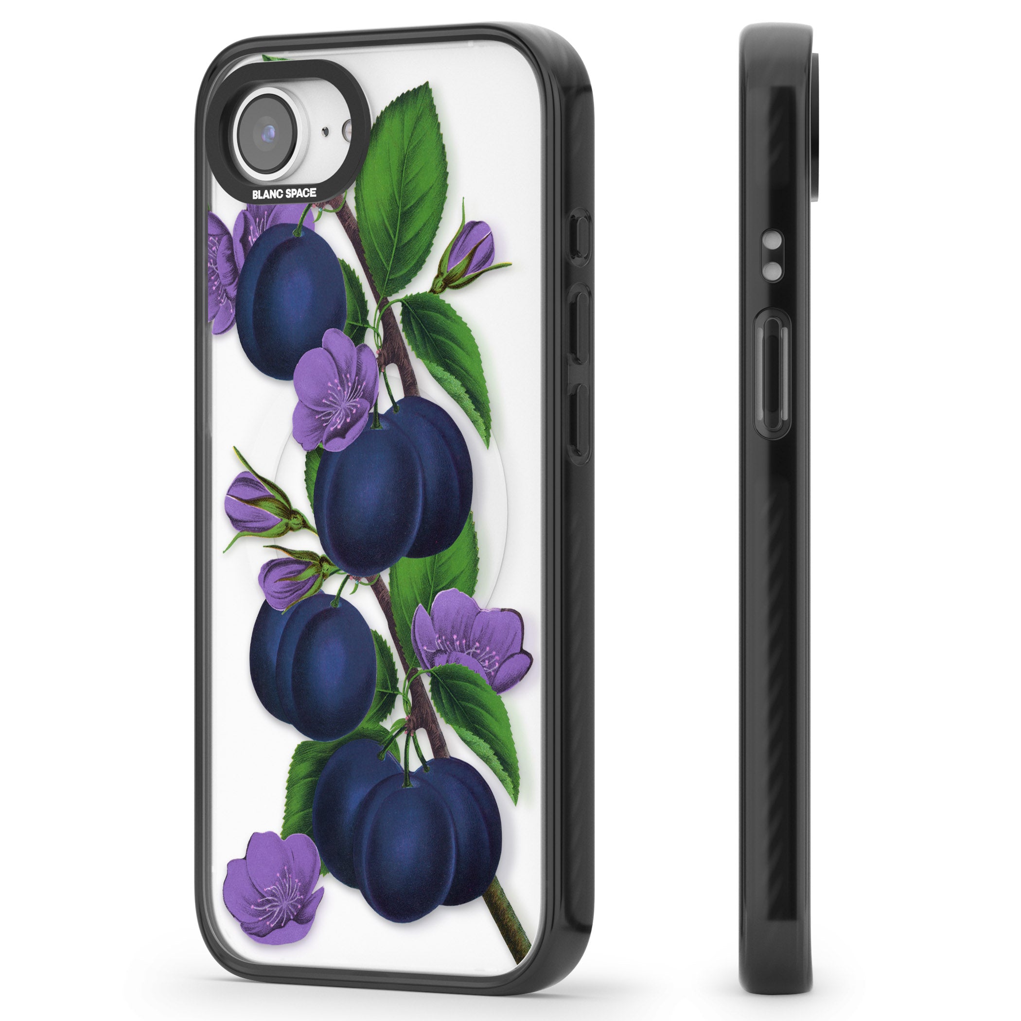 Vintage Painted Plums