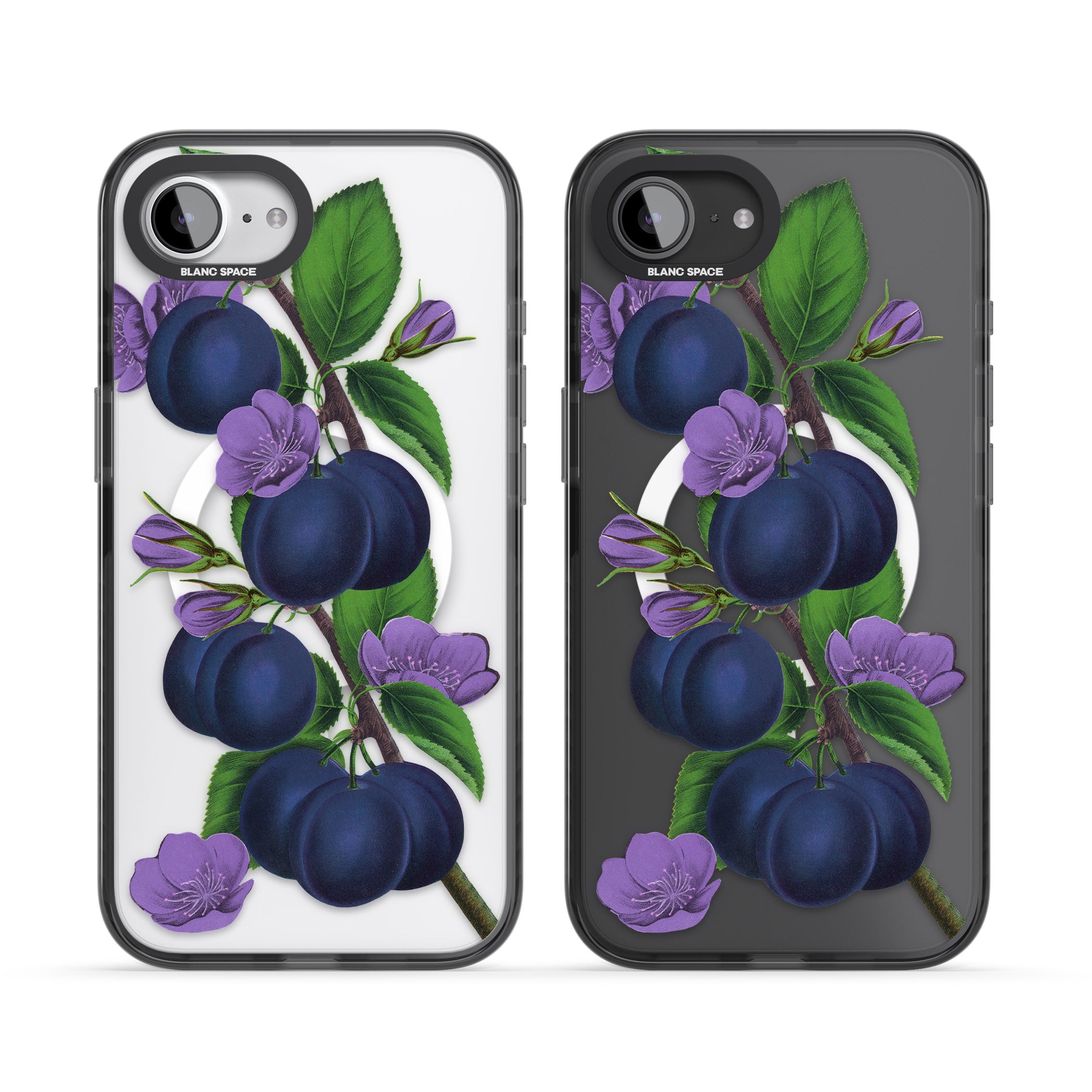 Vintage Painted Plums