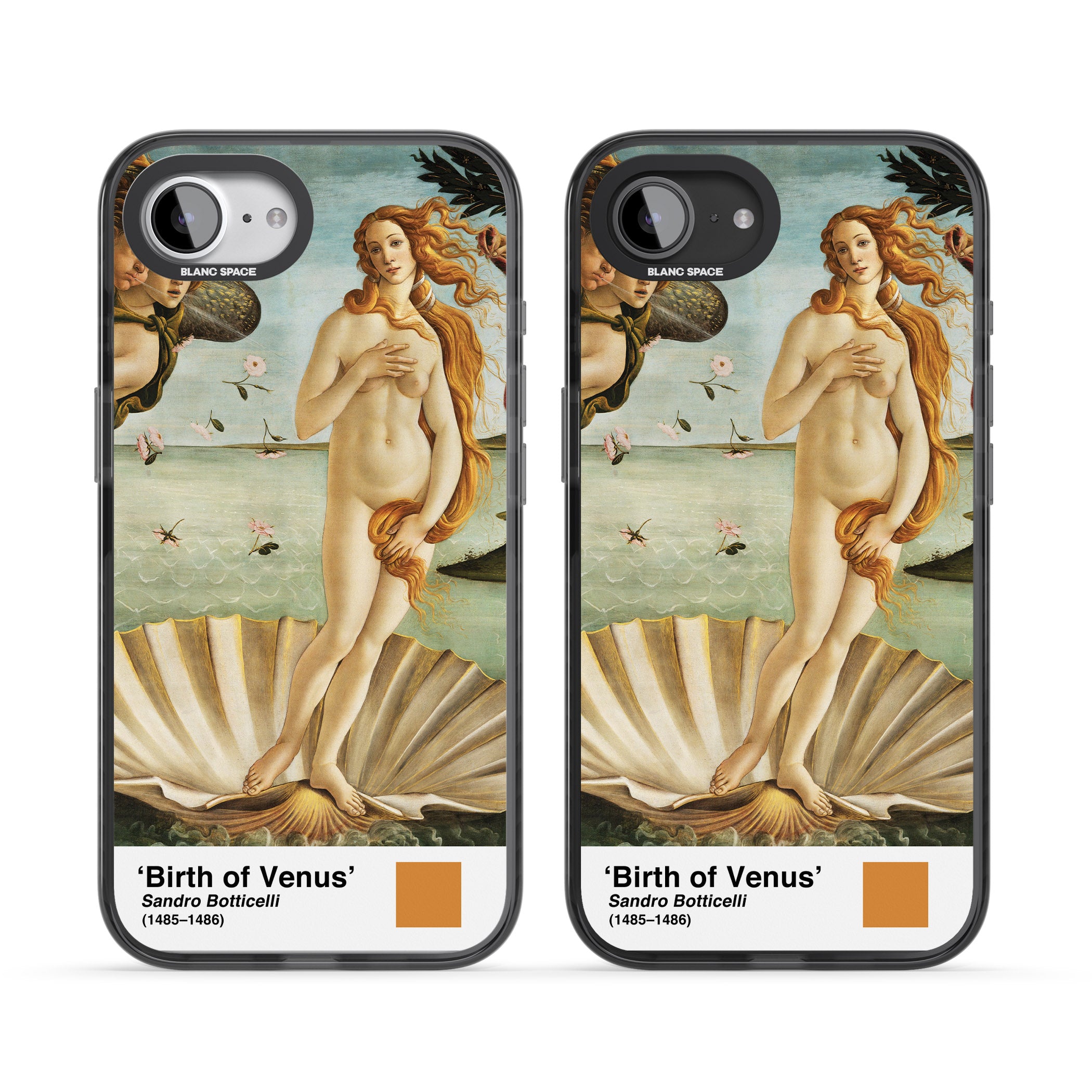 The Birth Of Venus