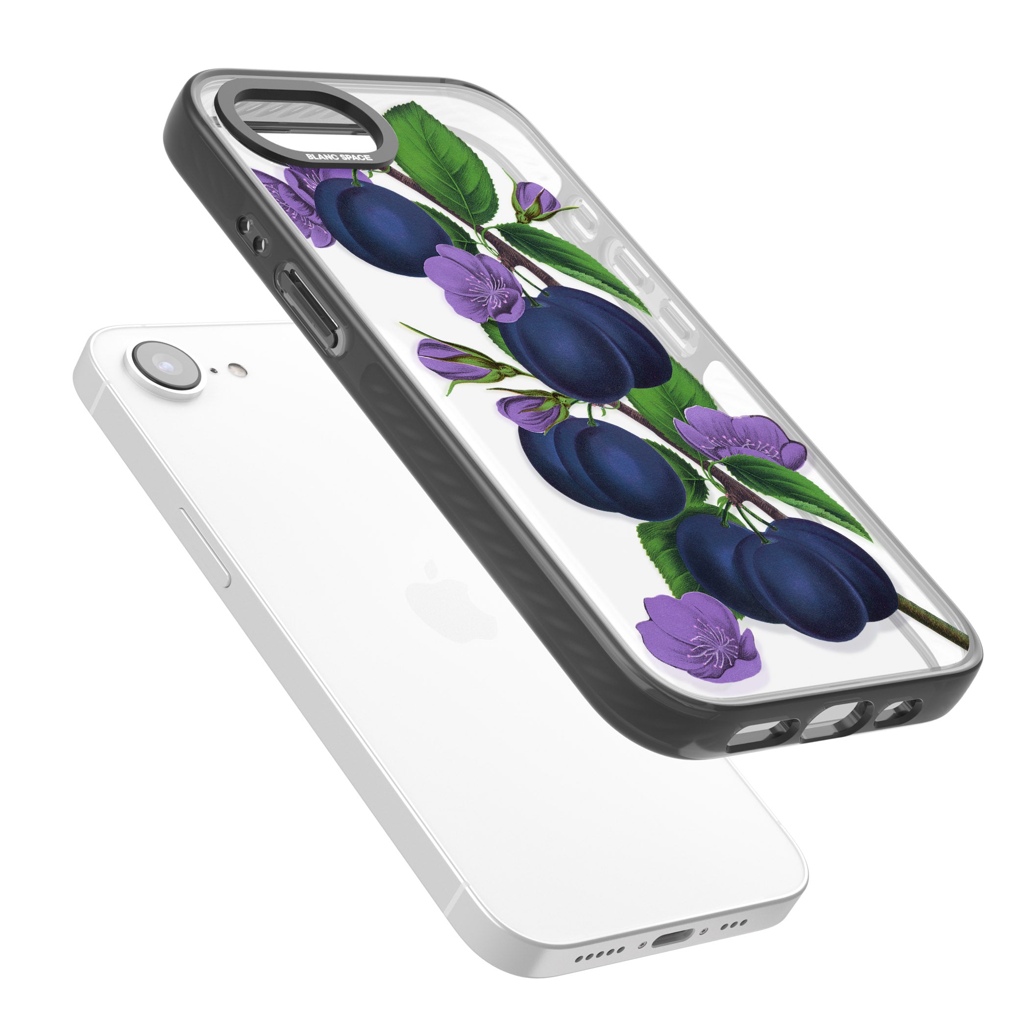 Vintage Painted Plums