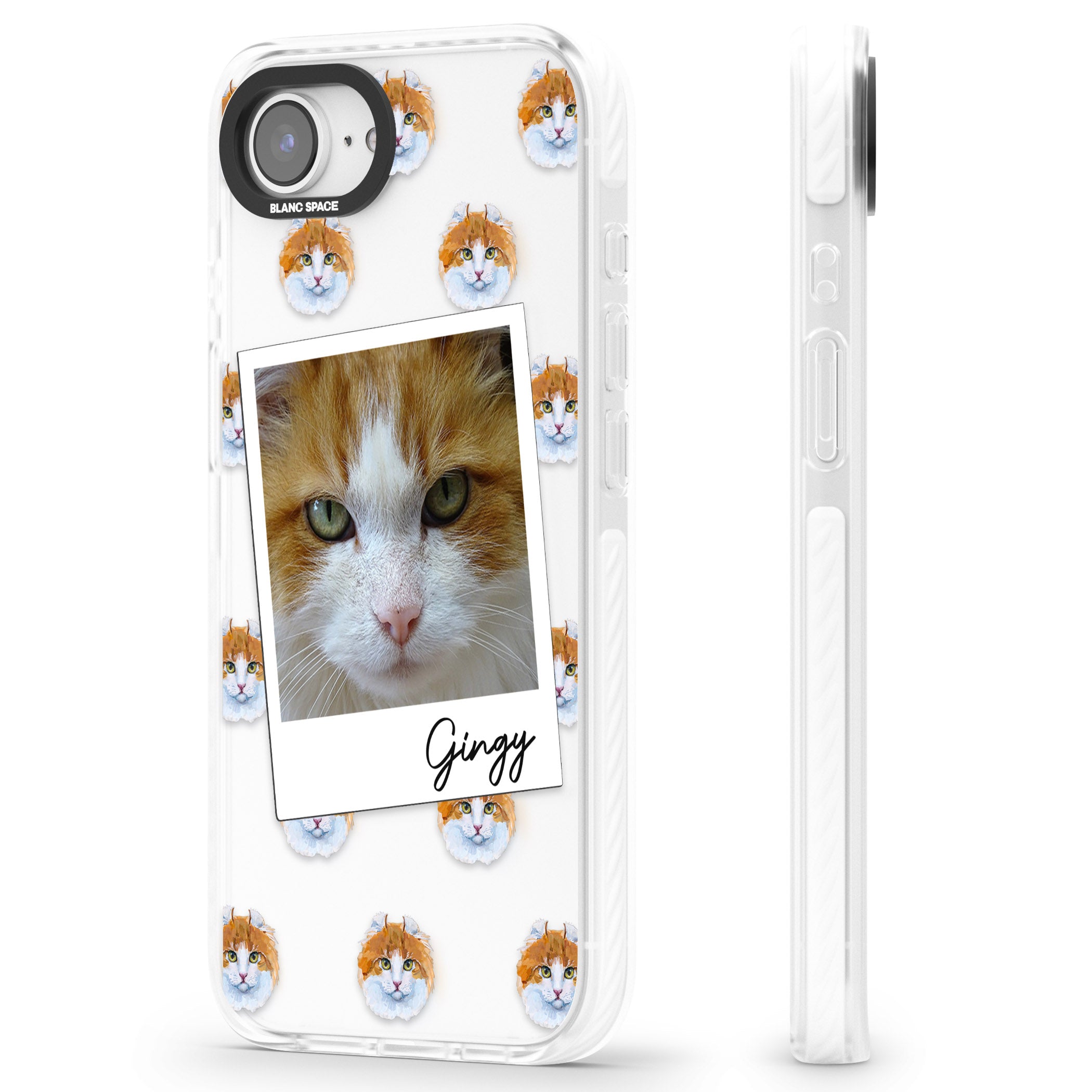Personalised American Curl Photo