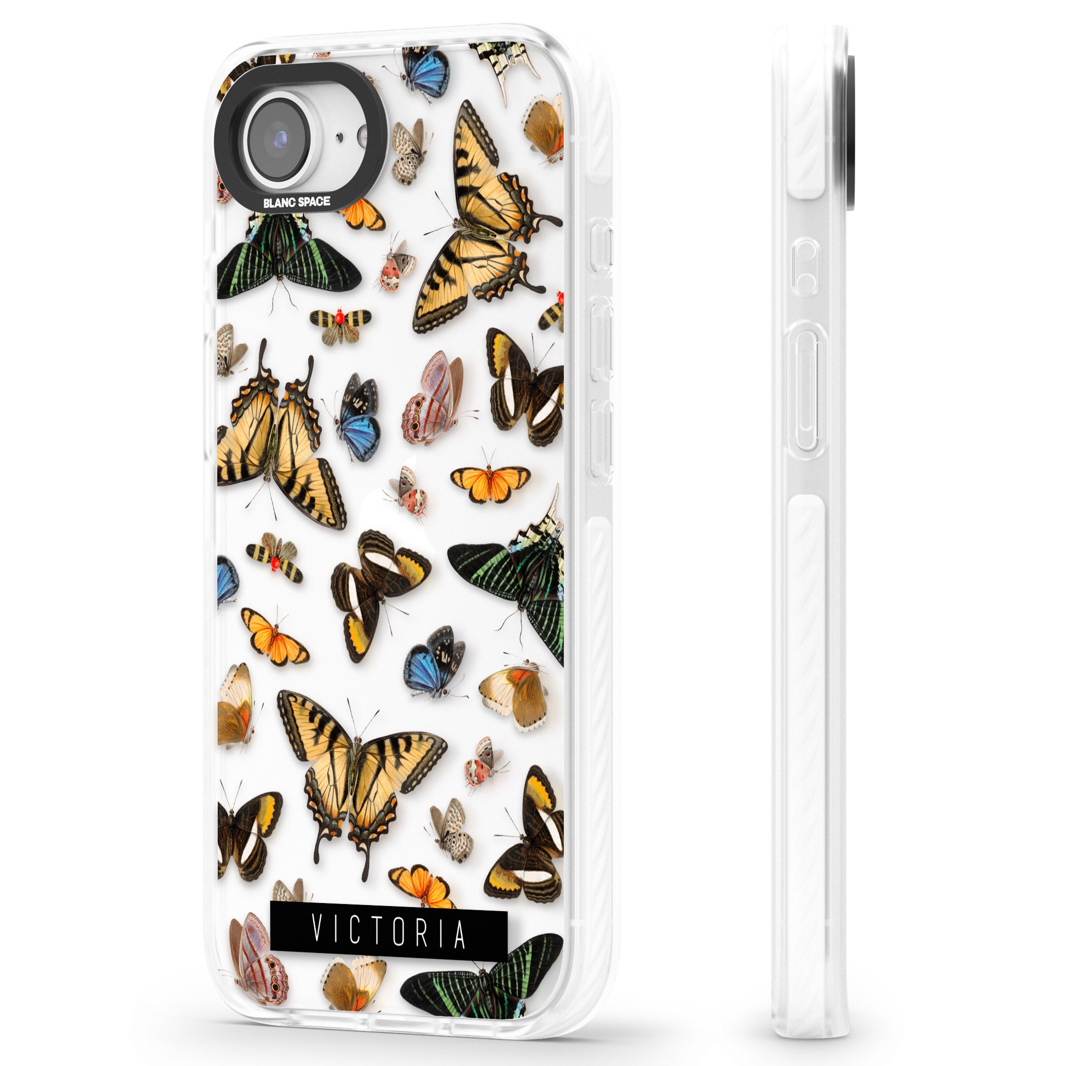 Personalised Butterfly Archive