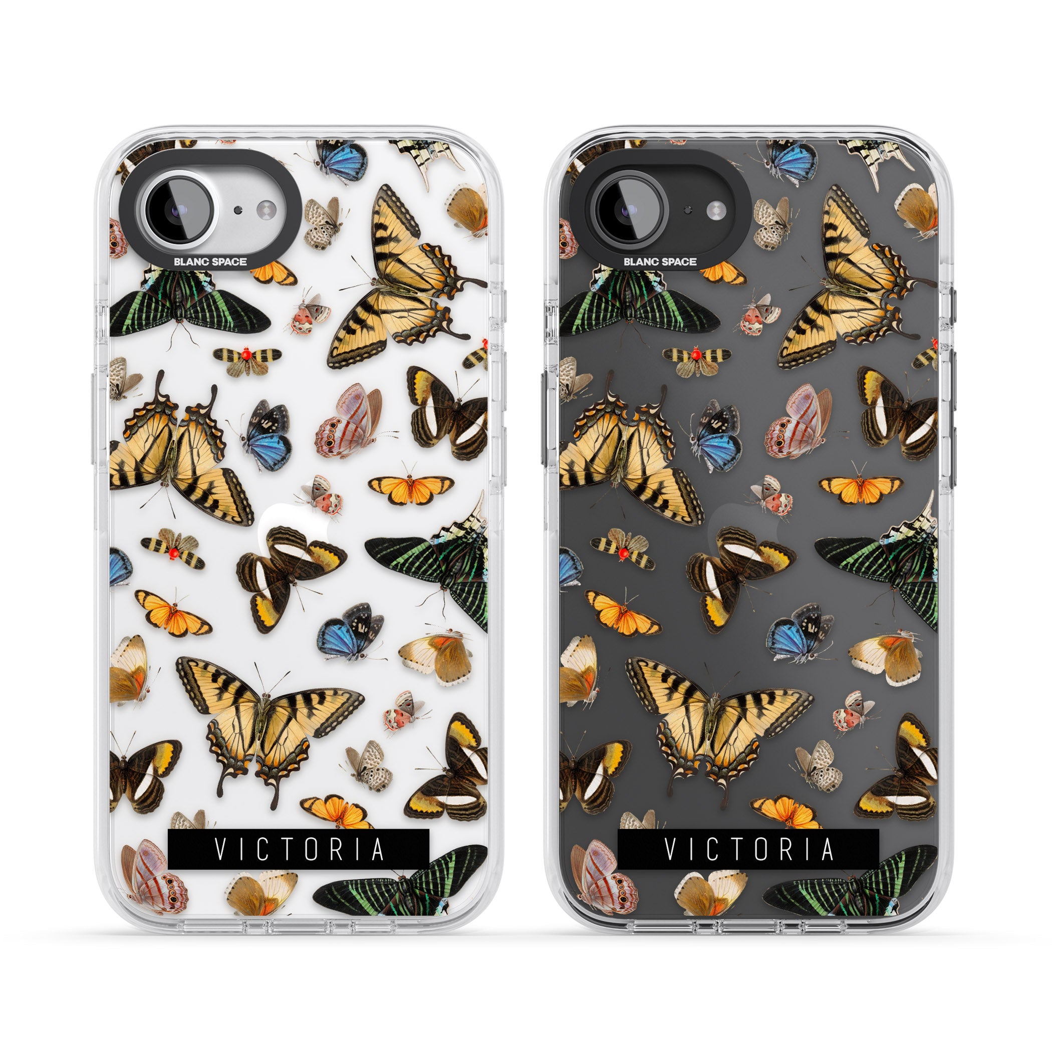 Personalised Butterfly Archive