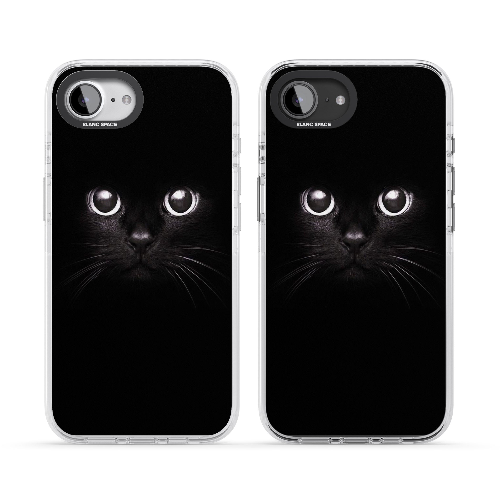 Black Cat