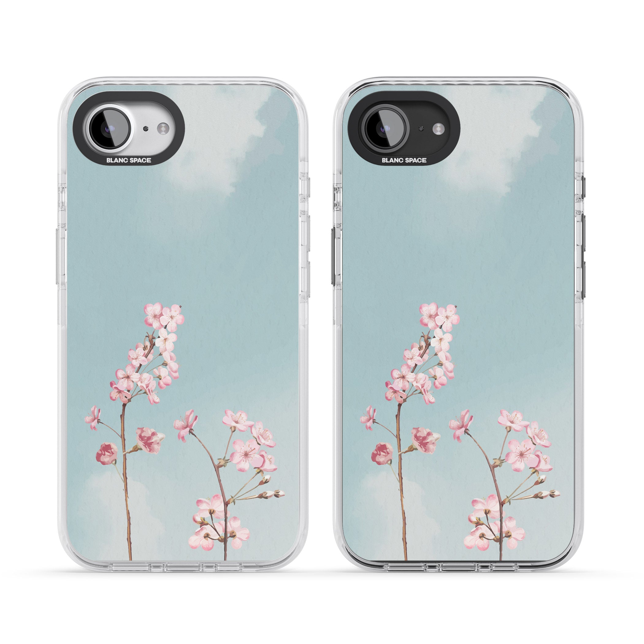 Blossom Flower Sky