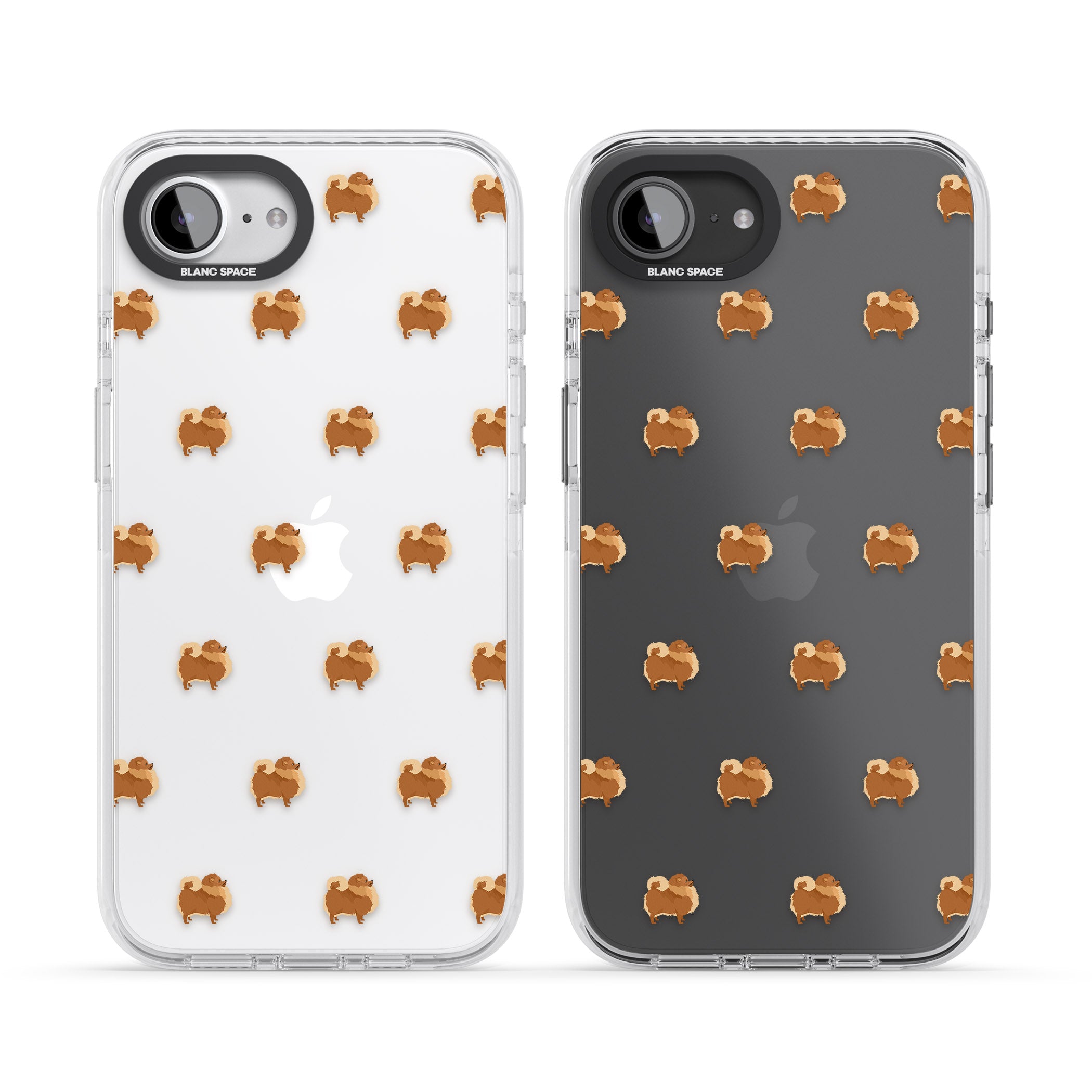 Pomeranian Delight