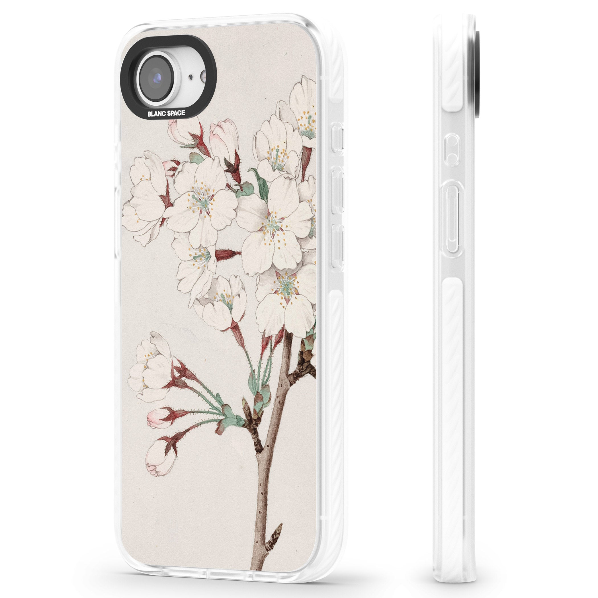 Vintage Japanese Illustrations Cherry Blossoms