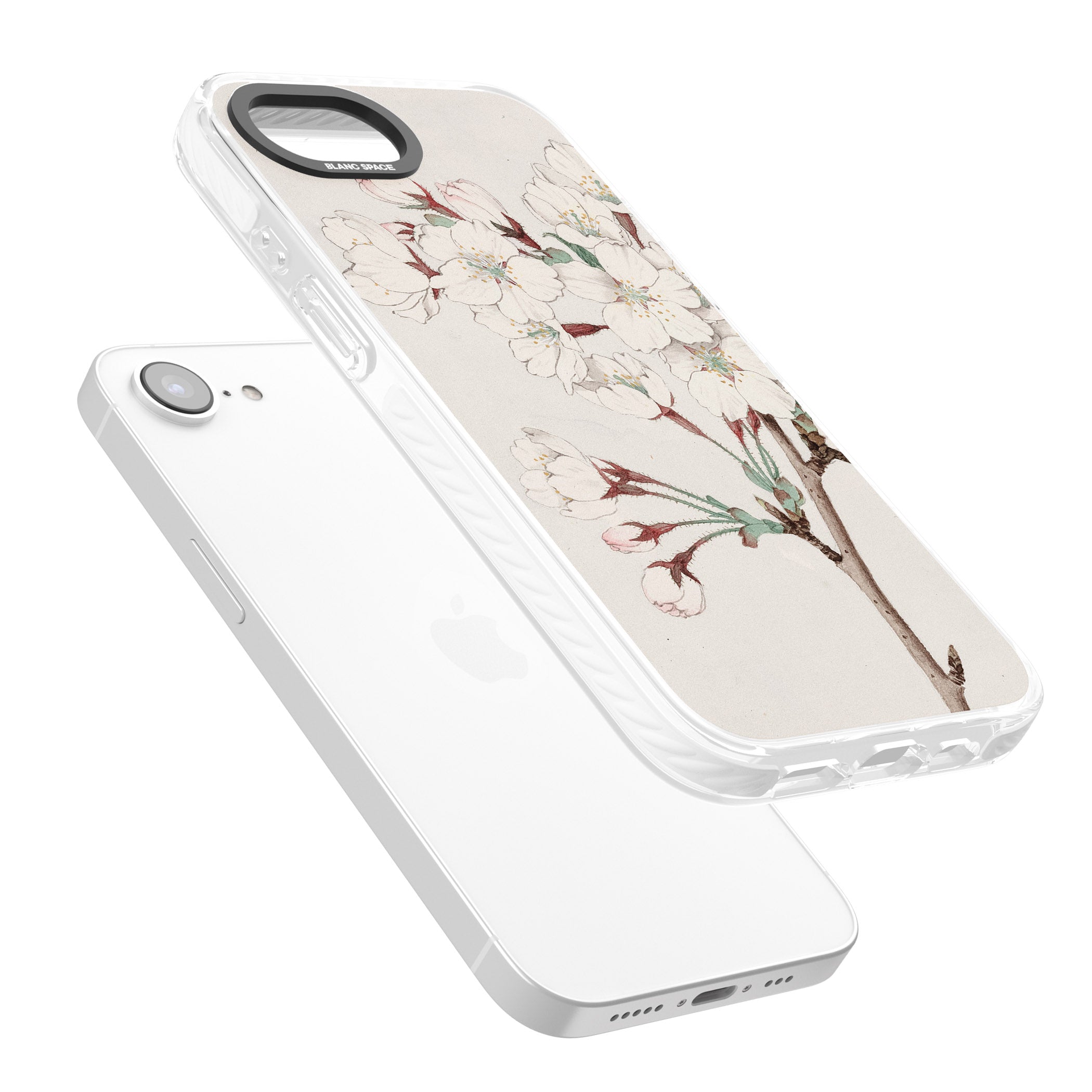 Vintage Japanese Illustrations Cherry Blossoms