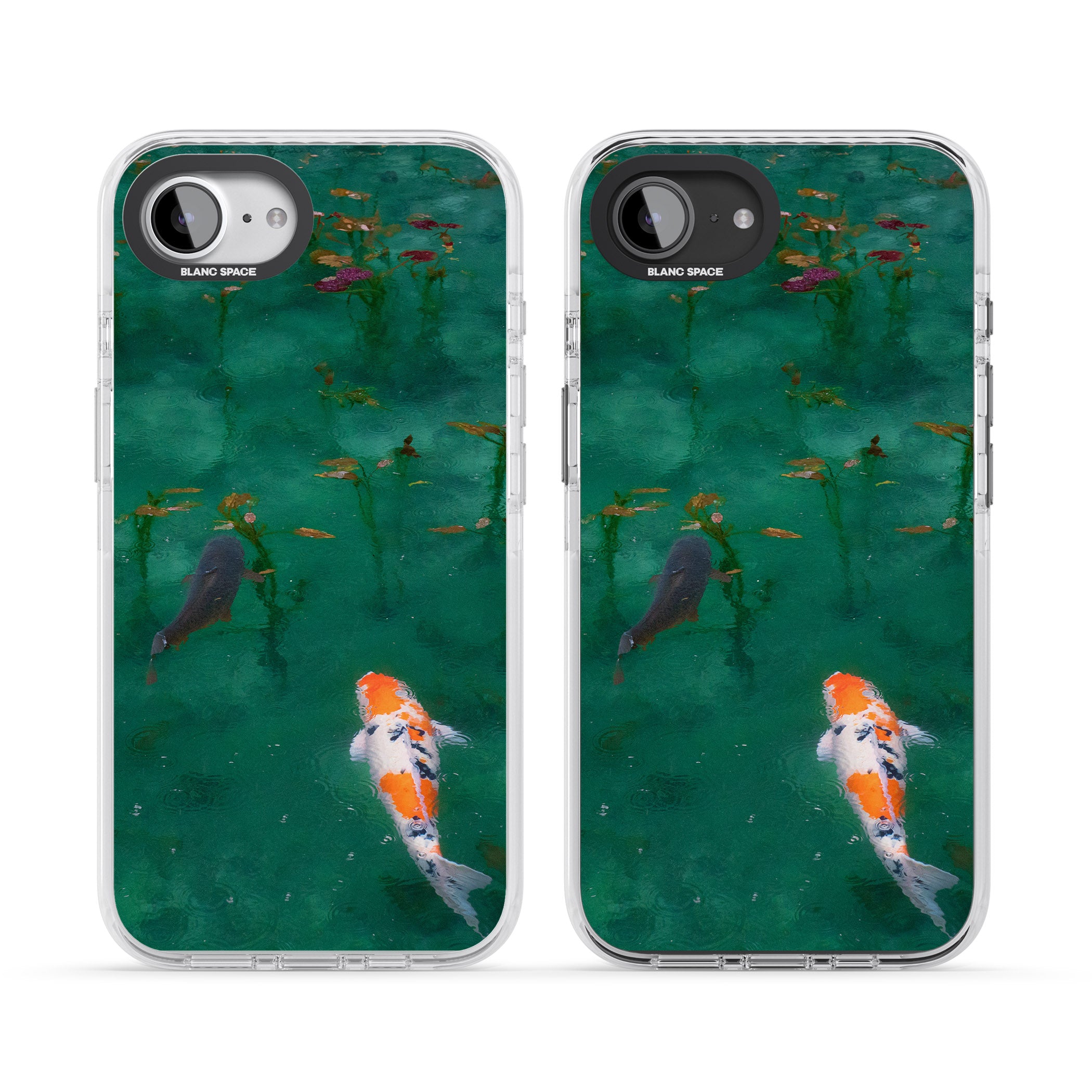 Koi Fish