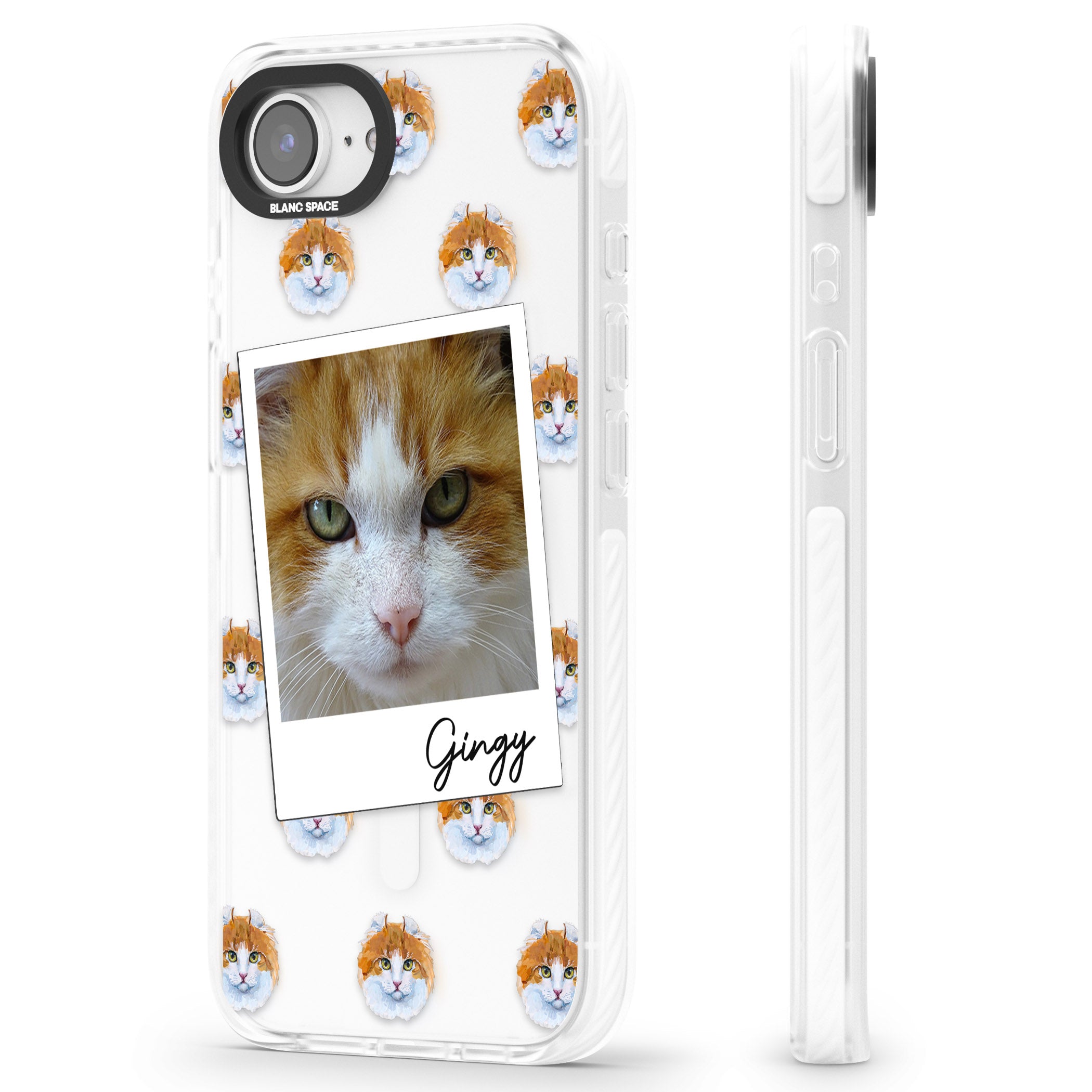 Personalised American Curl Photo