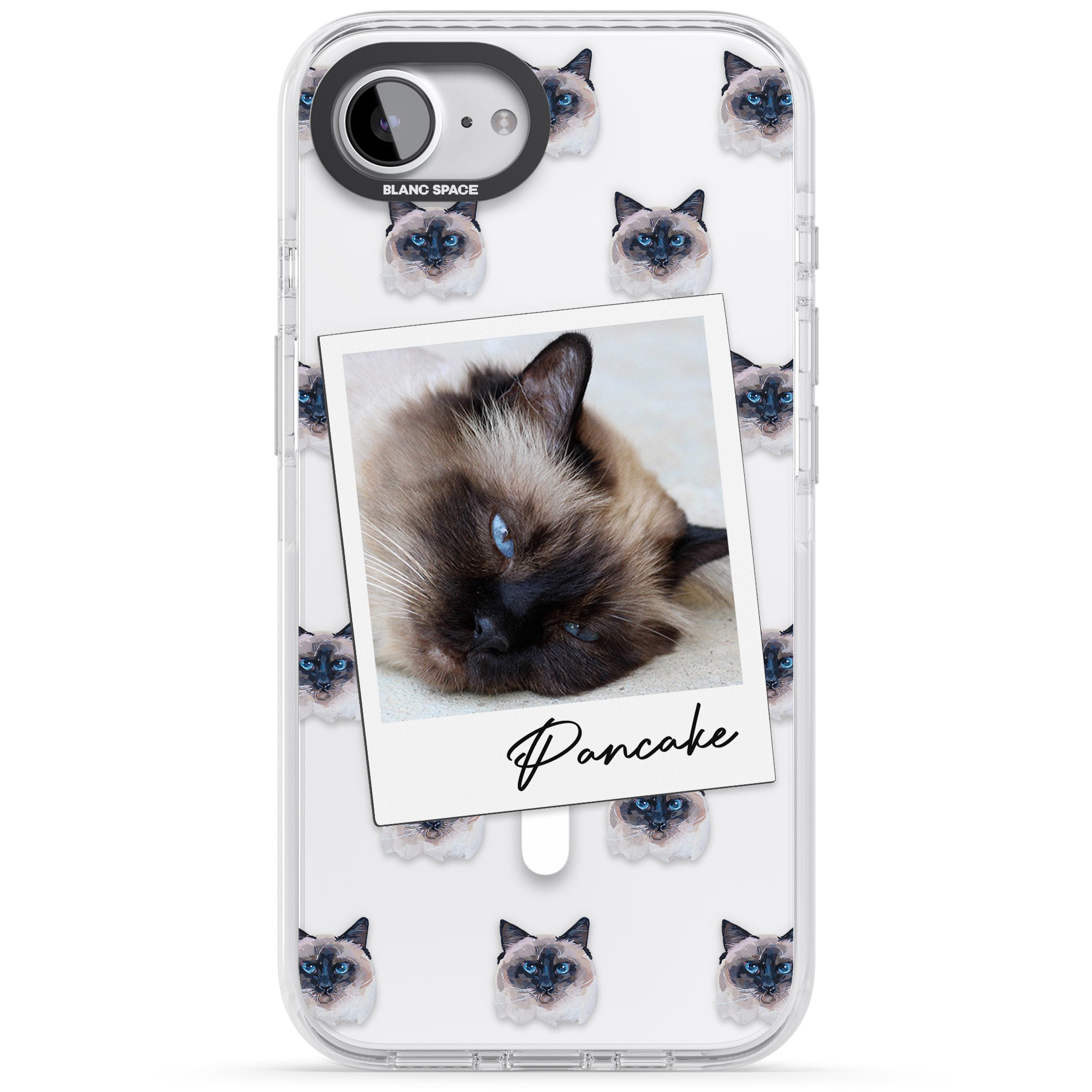 Personalised Burmese Cat Photo