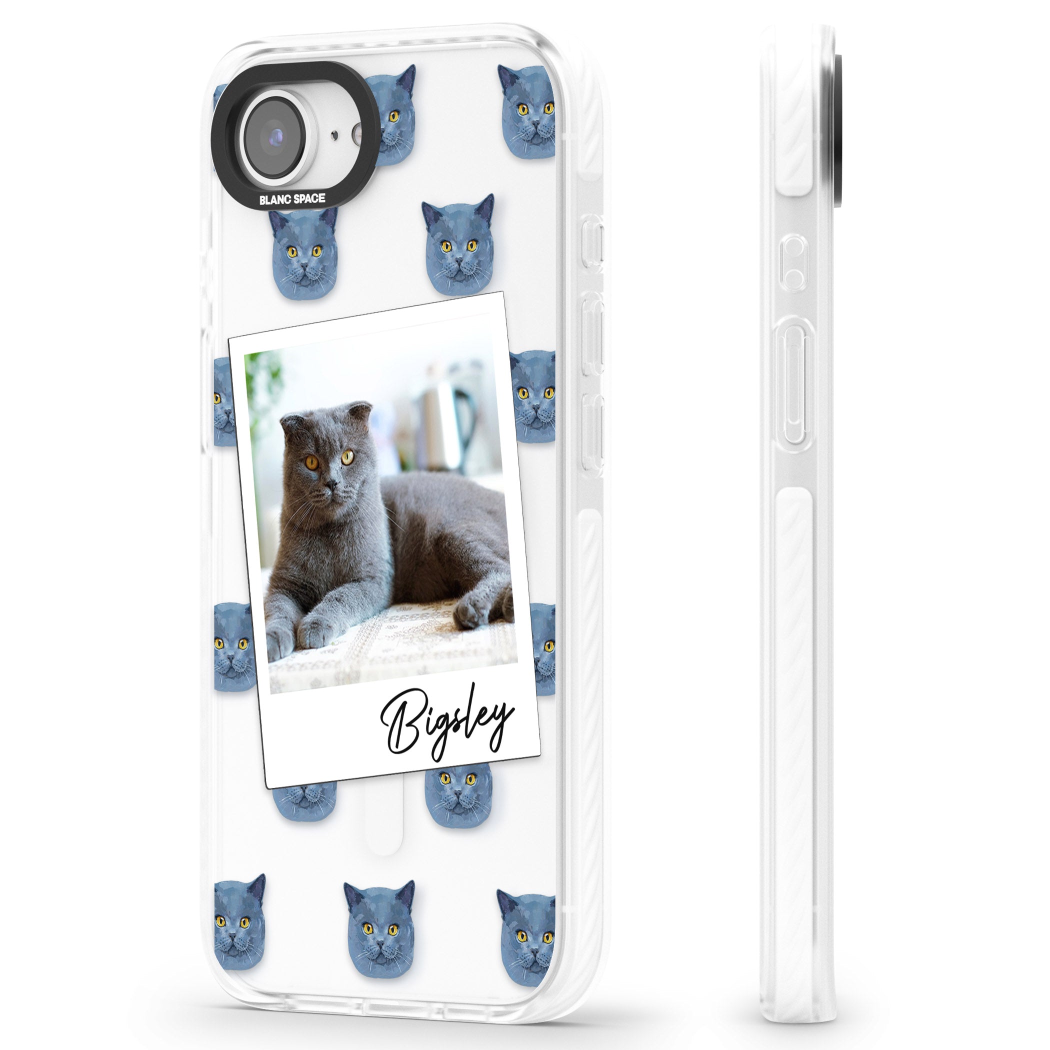 Personalised English Blue Cat Photo