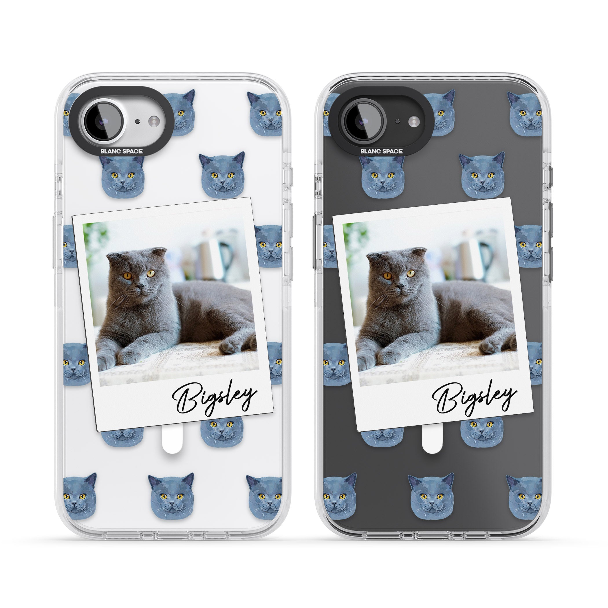 Personalised English Blue Cat Photo