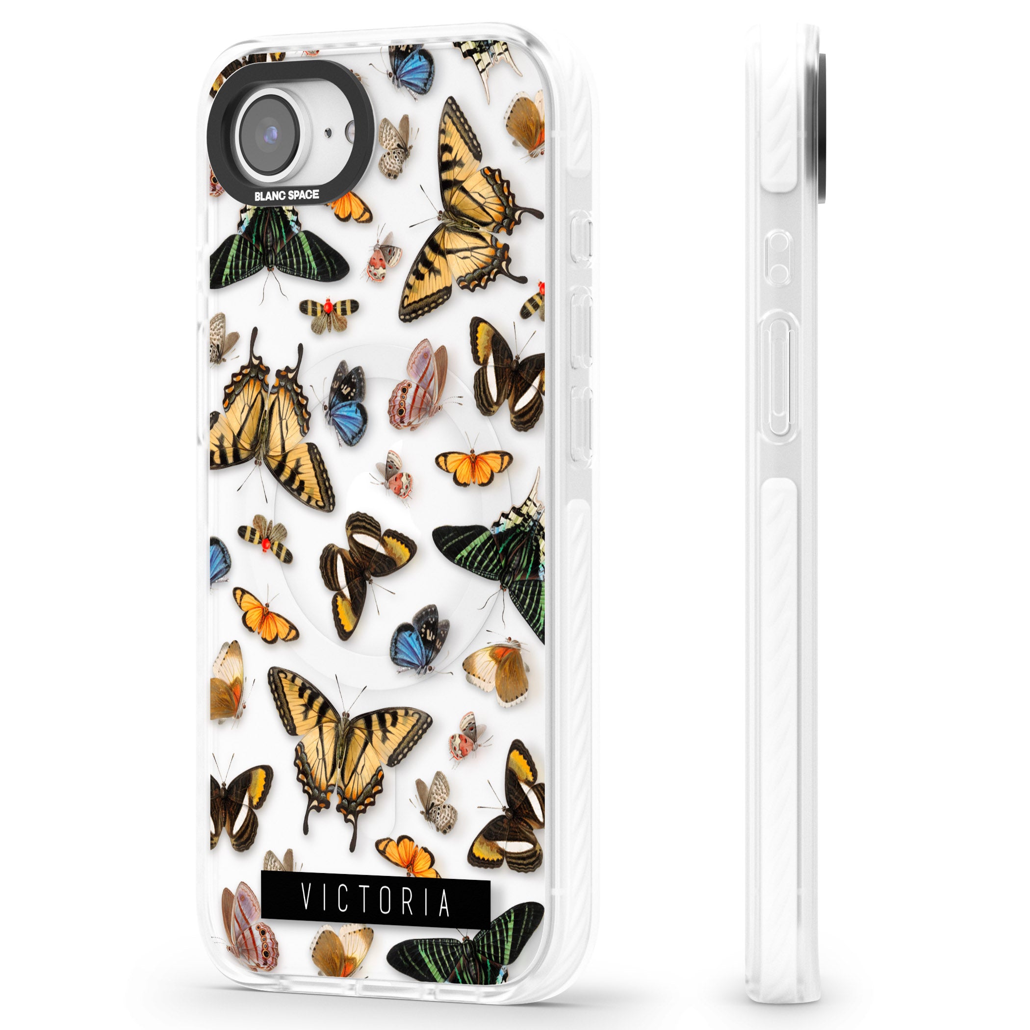 Personalised Butterfly Archive