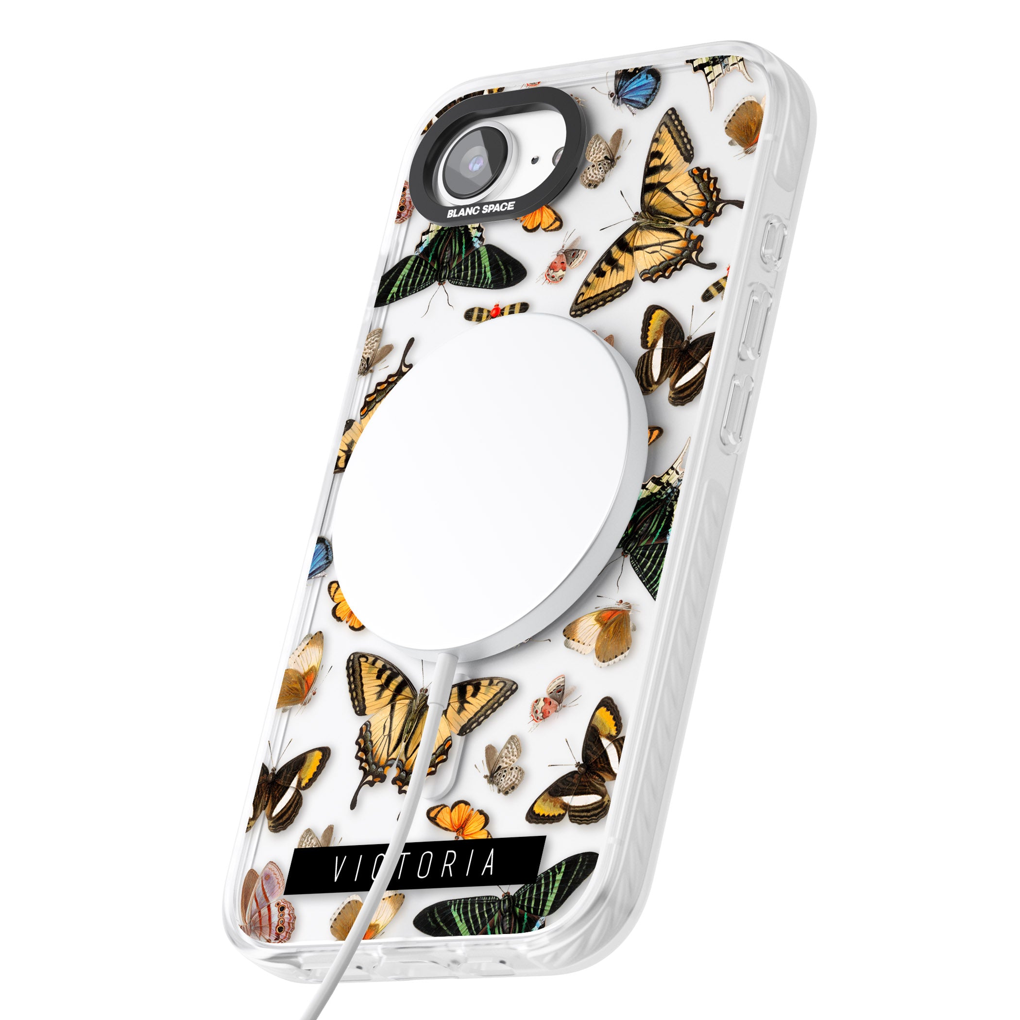 Personalised Butterfly Archive