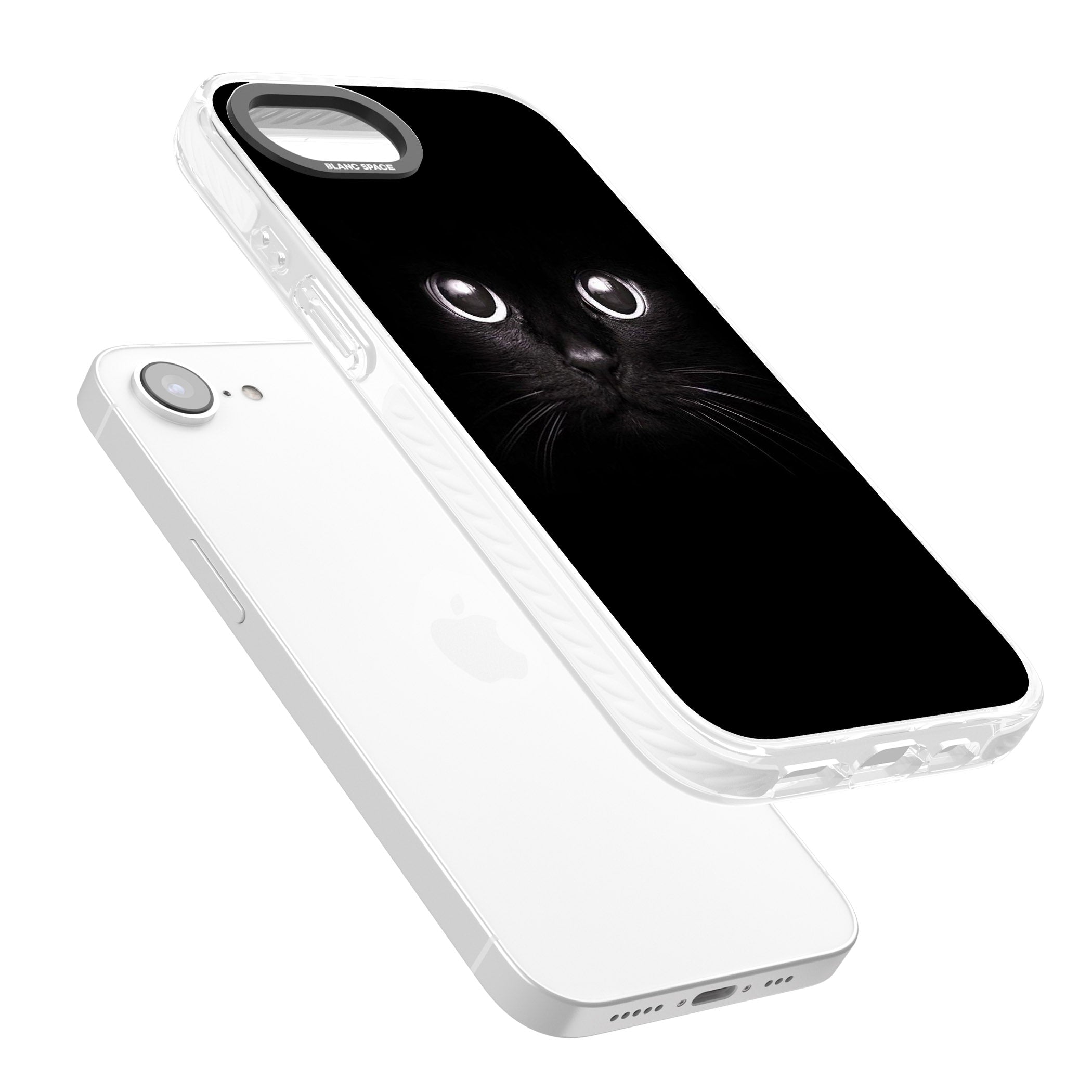Black Cat