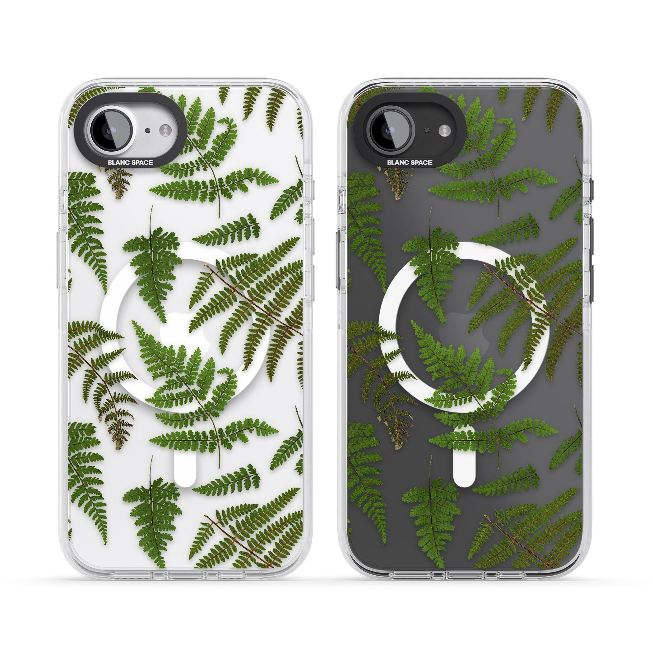 Leafy Ferns