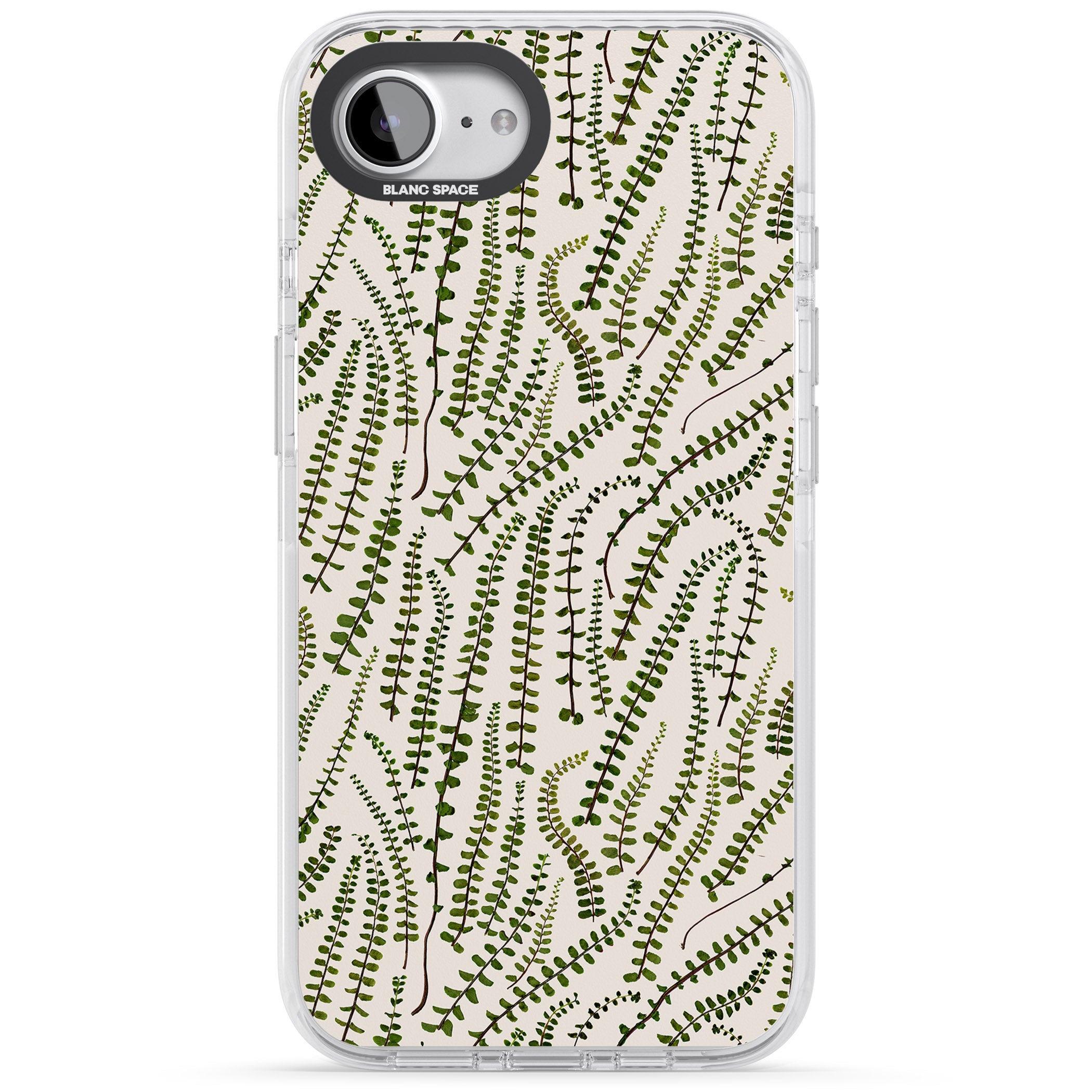 Fern Leaf Pattern