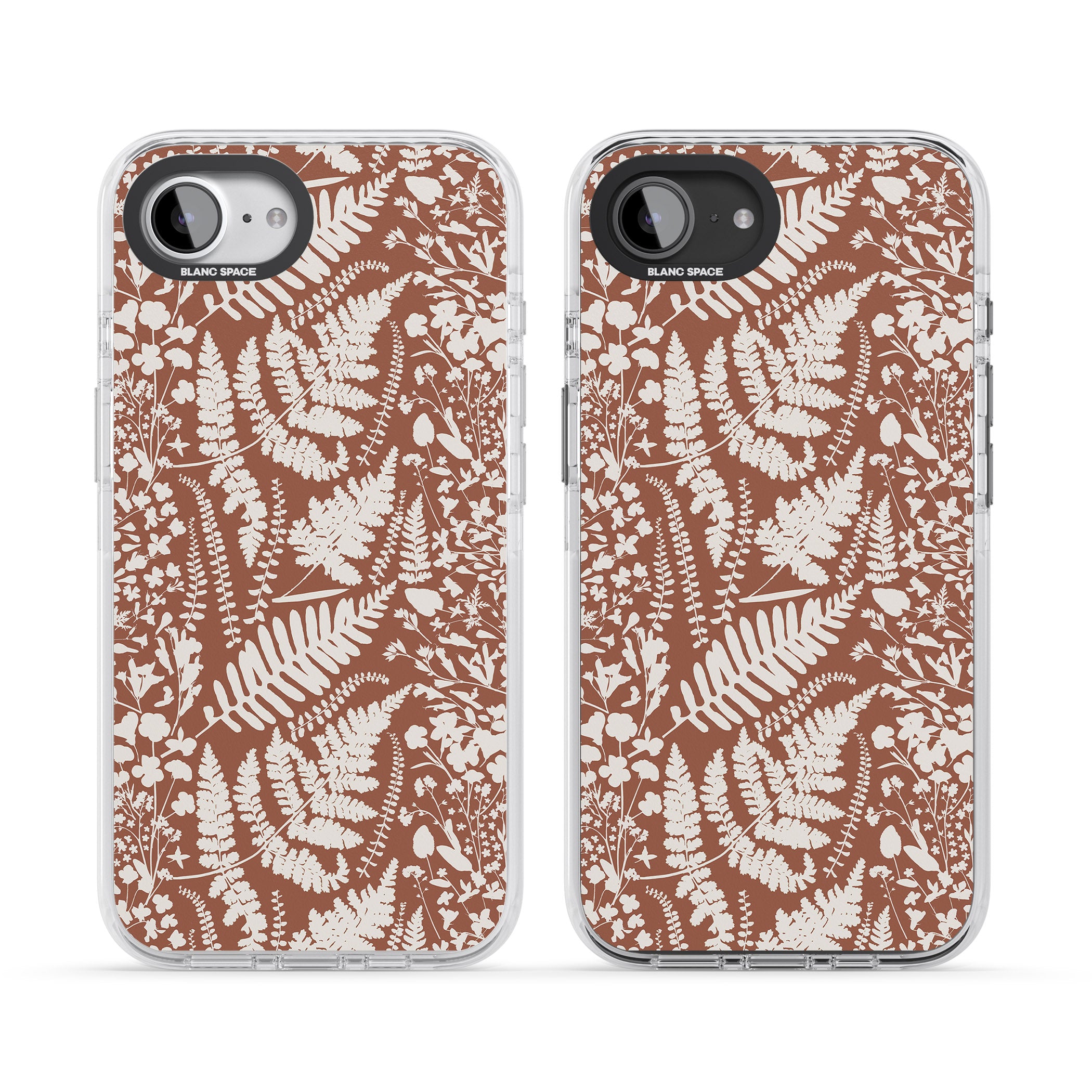 Wildflowers And Ferns On Terracotta