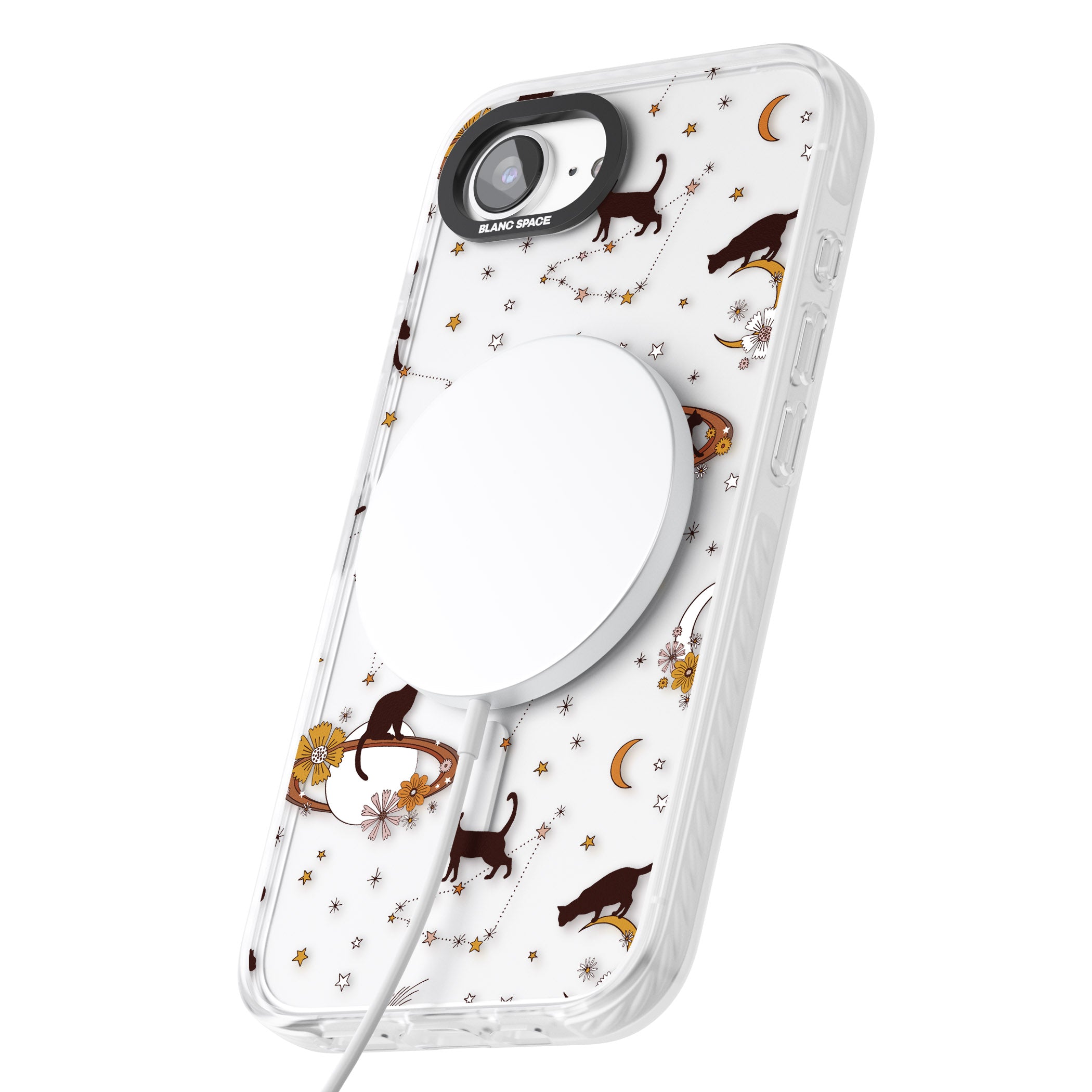 Halloween Cats And Astrology