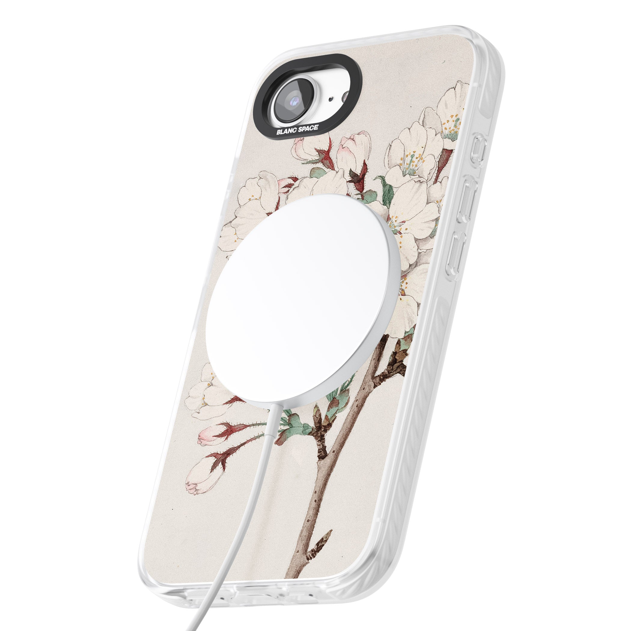 Vintage Japanese Illustrations Cherry Blossoms