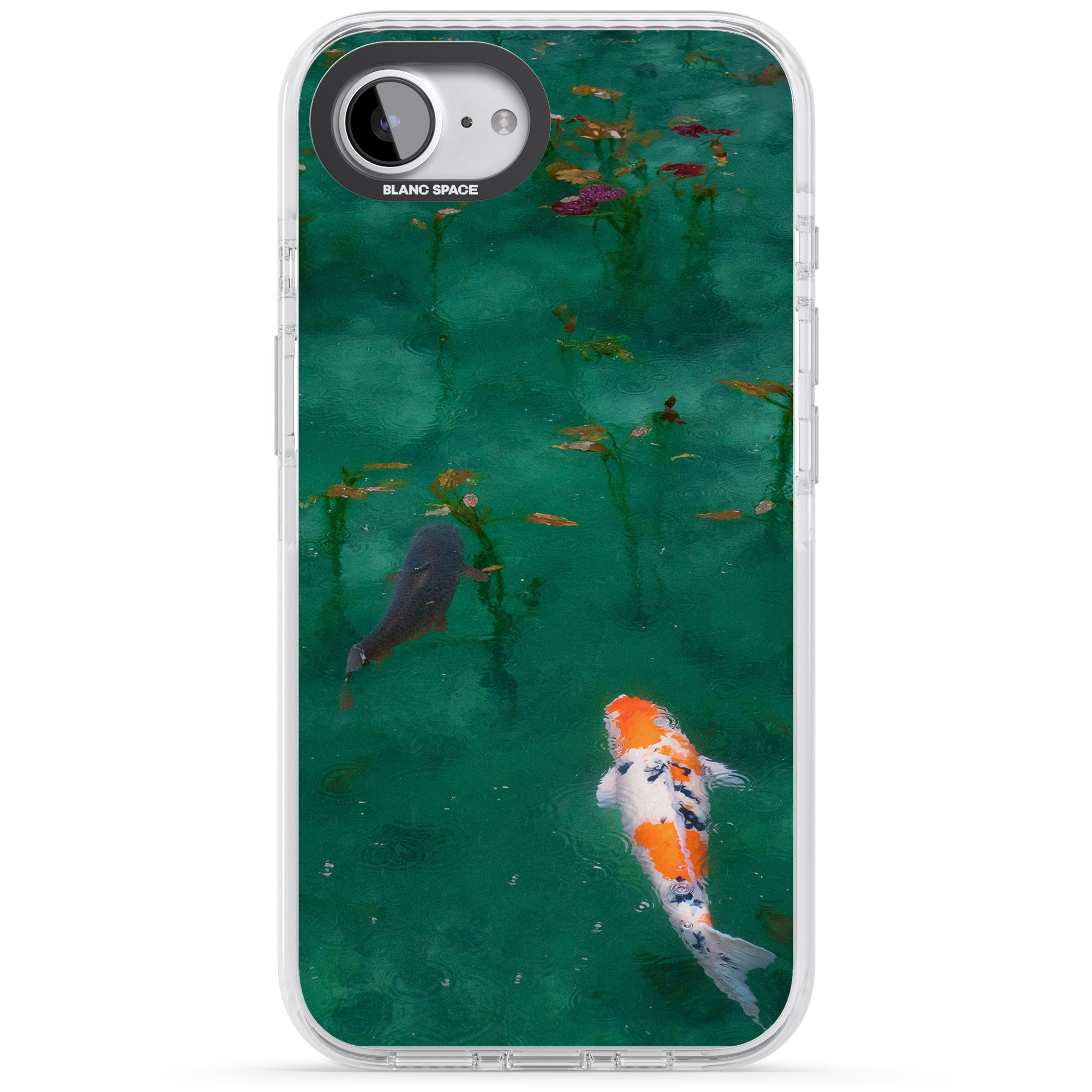 Koi Fish