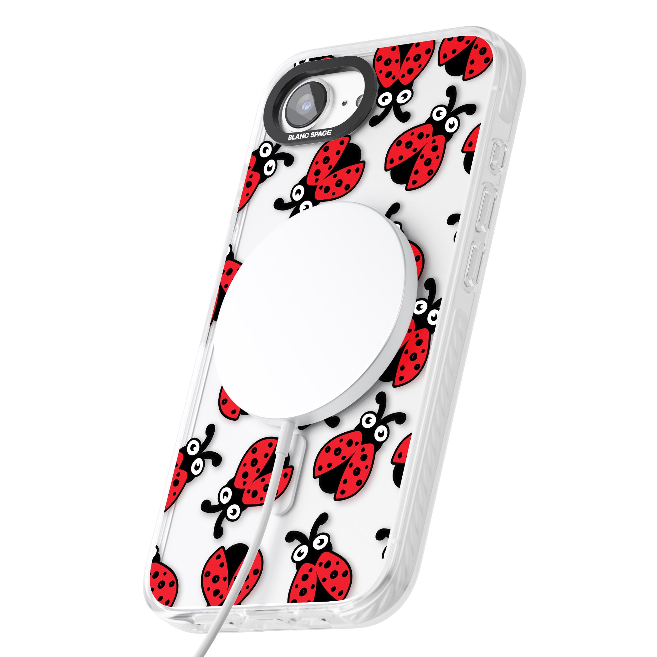 Ladybug Pattern
