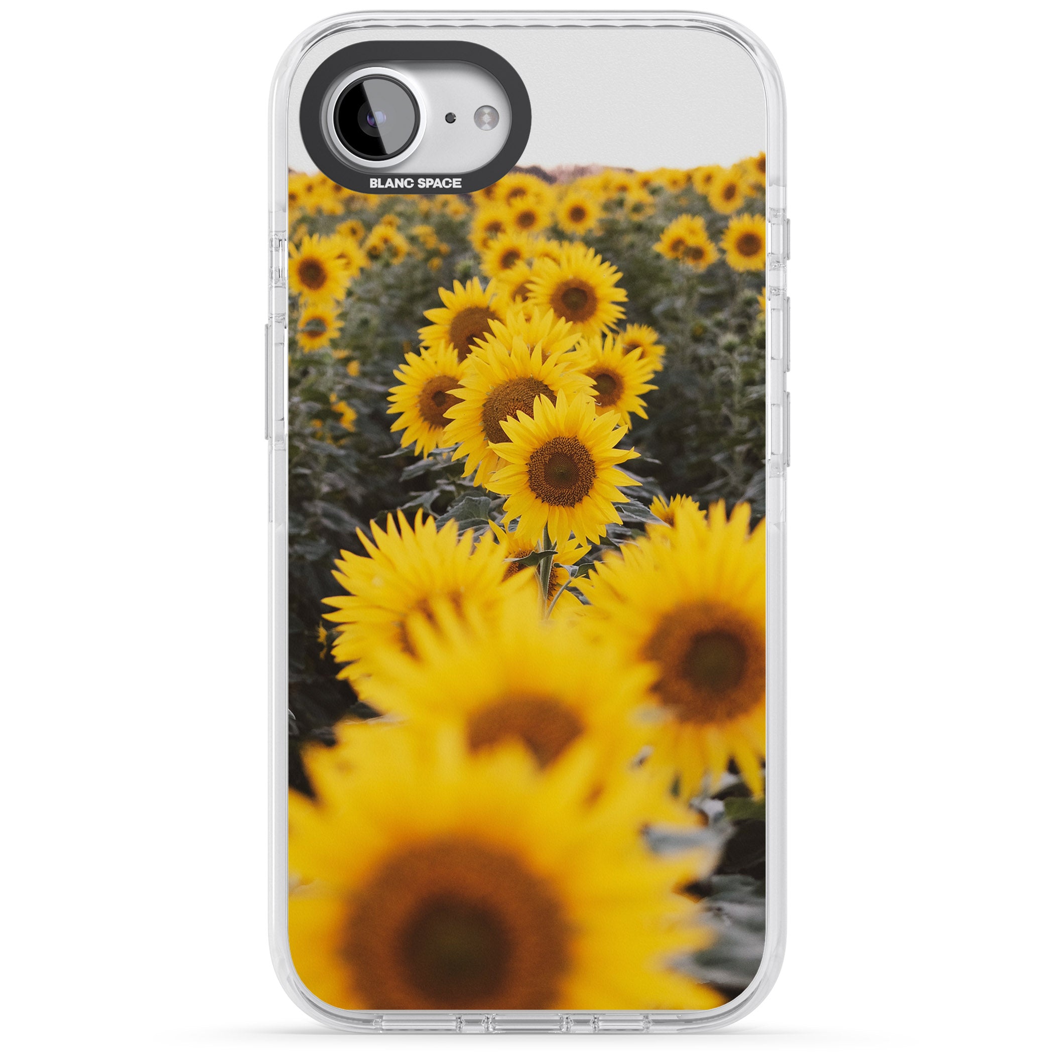 Sunflower Field