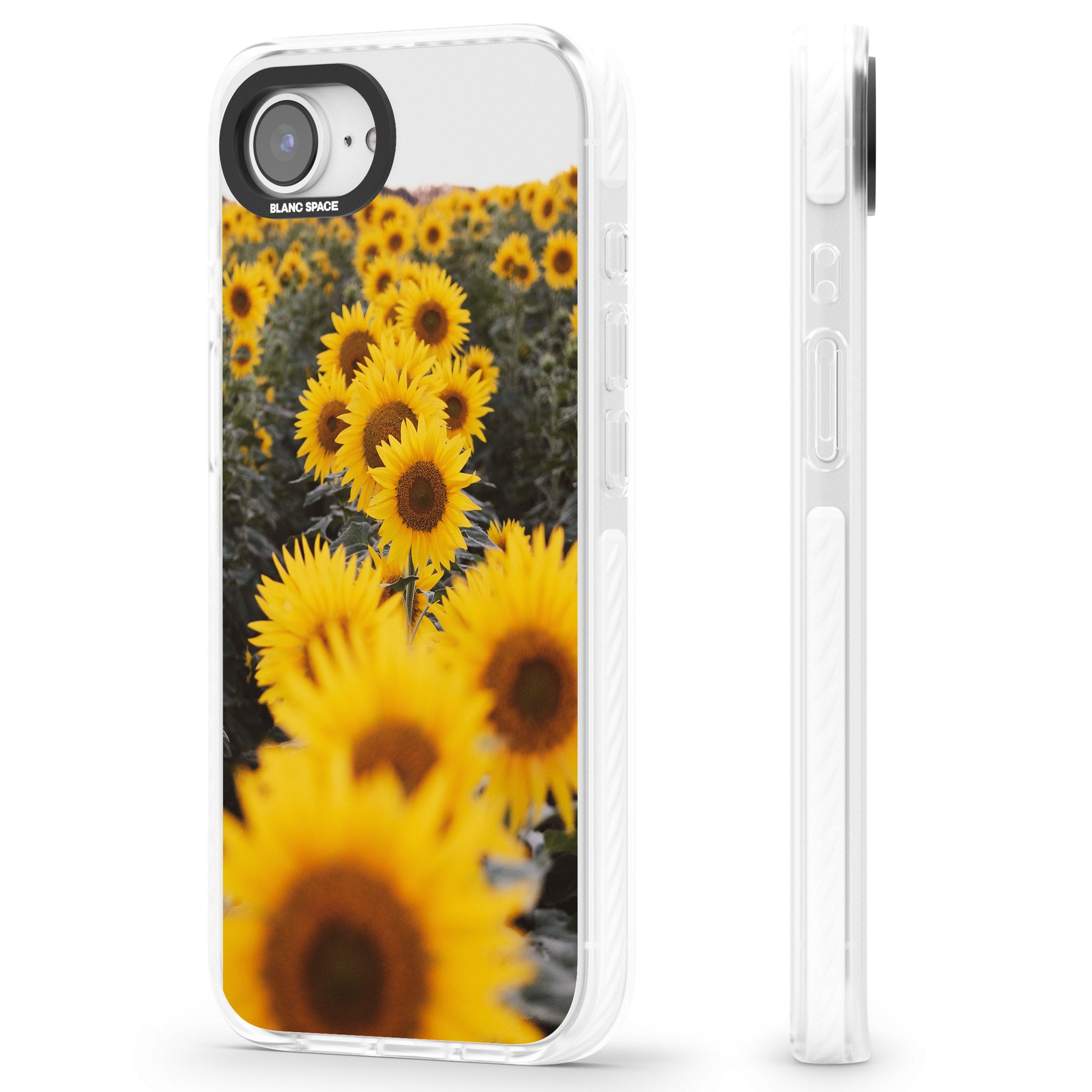 Sunflower Field
