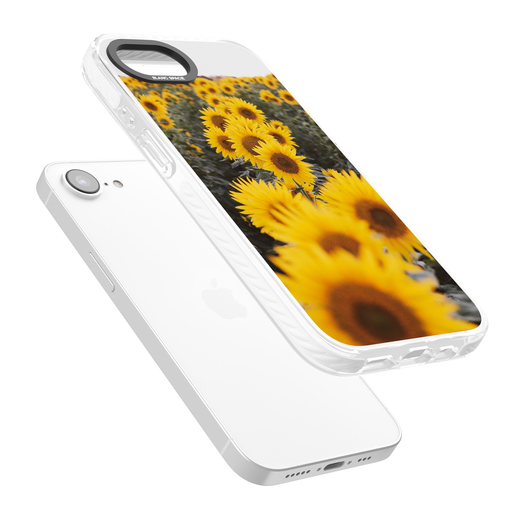 Sunflower Field