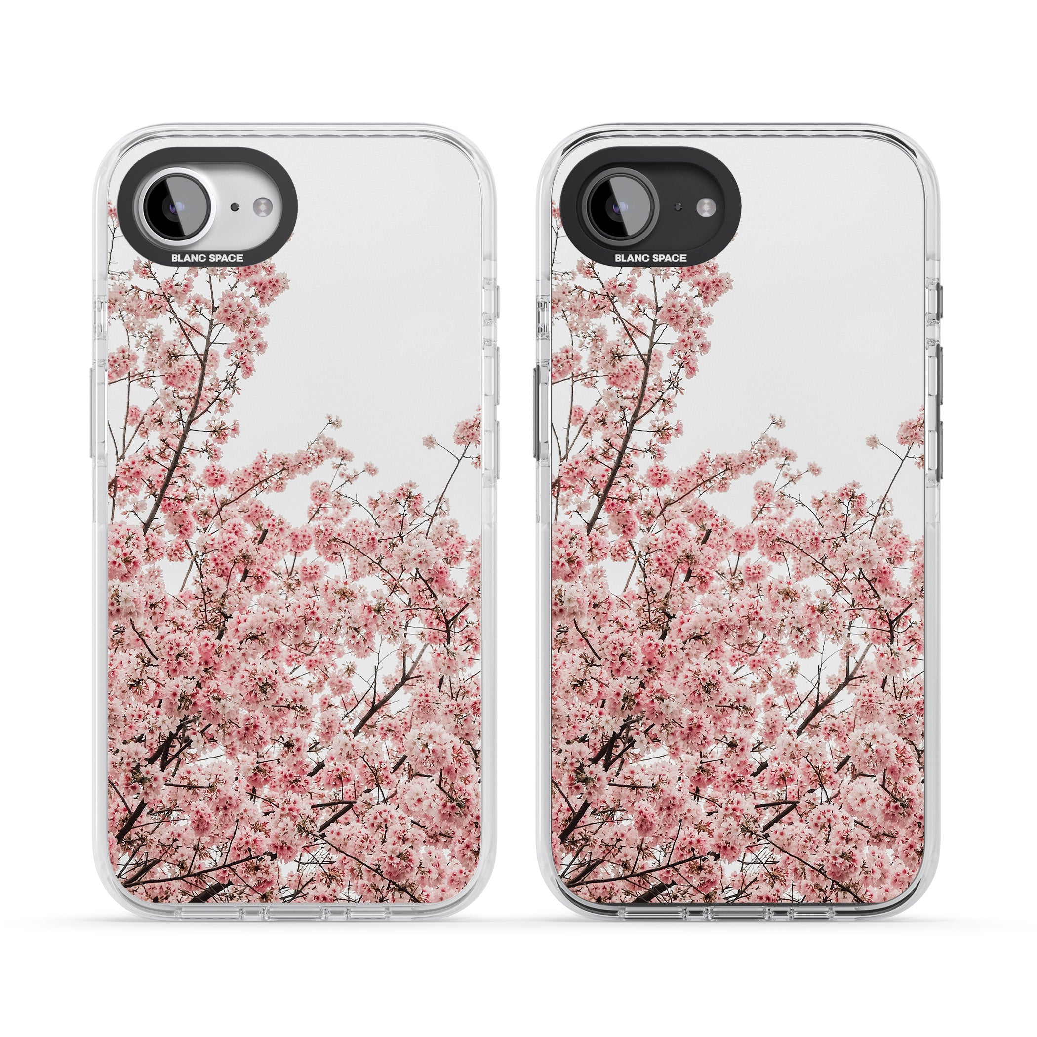 Cherry Blossom Bloom