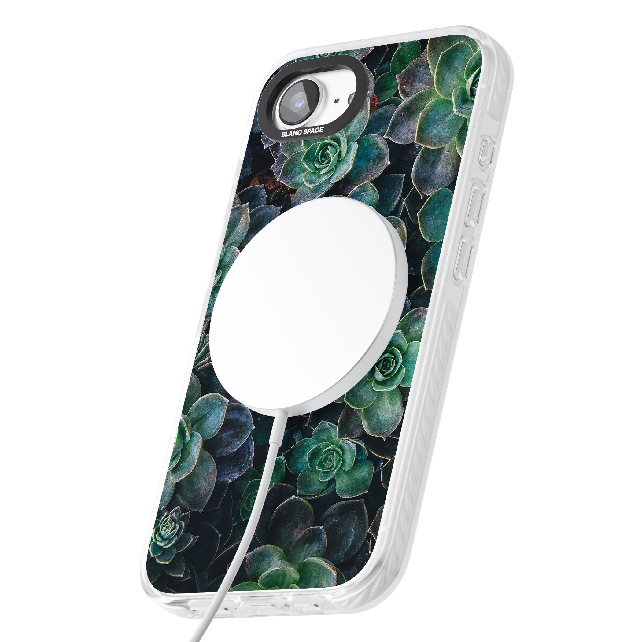 Succulent Bloom Botanical