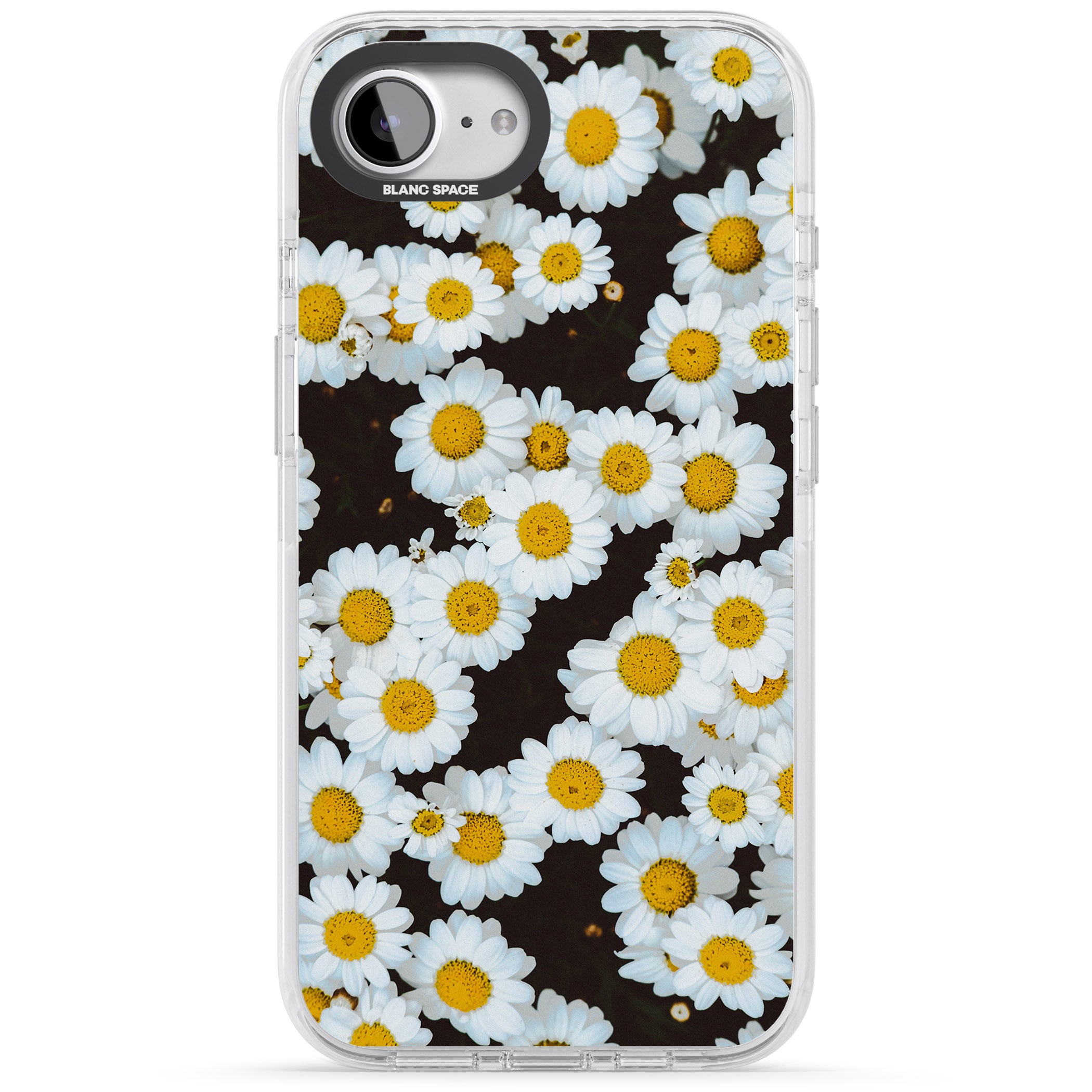 Daisy Dream