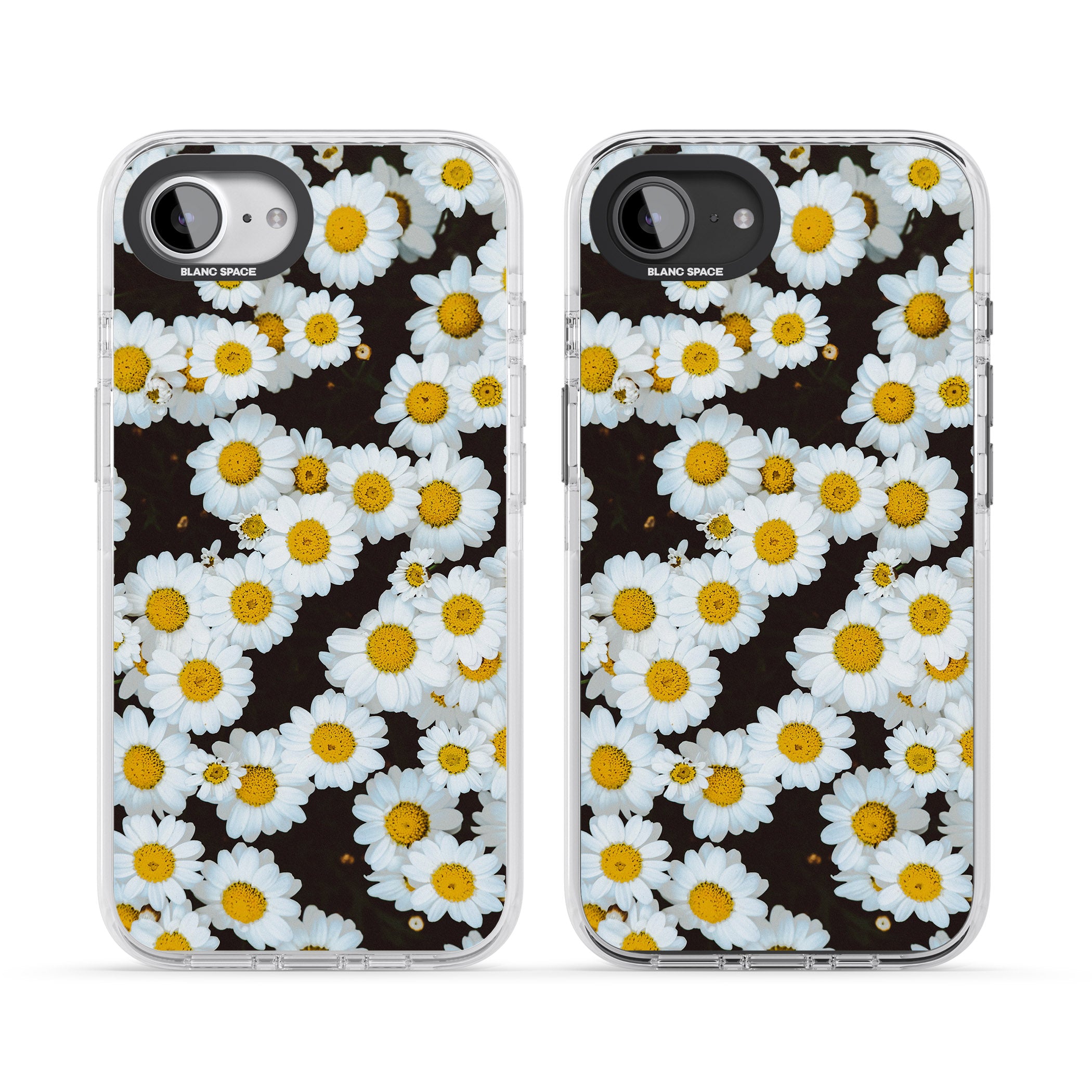 Daisy Dream