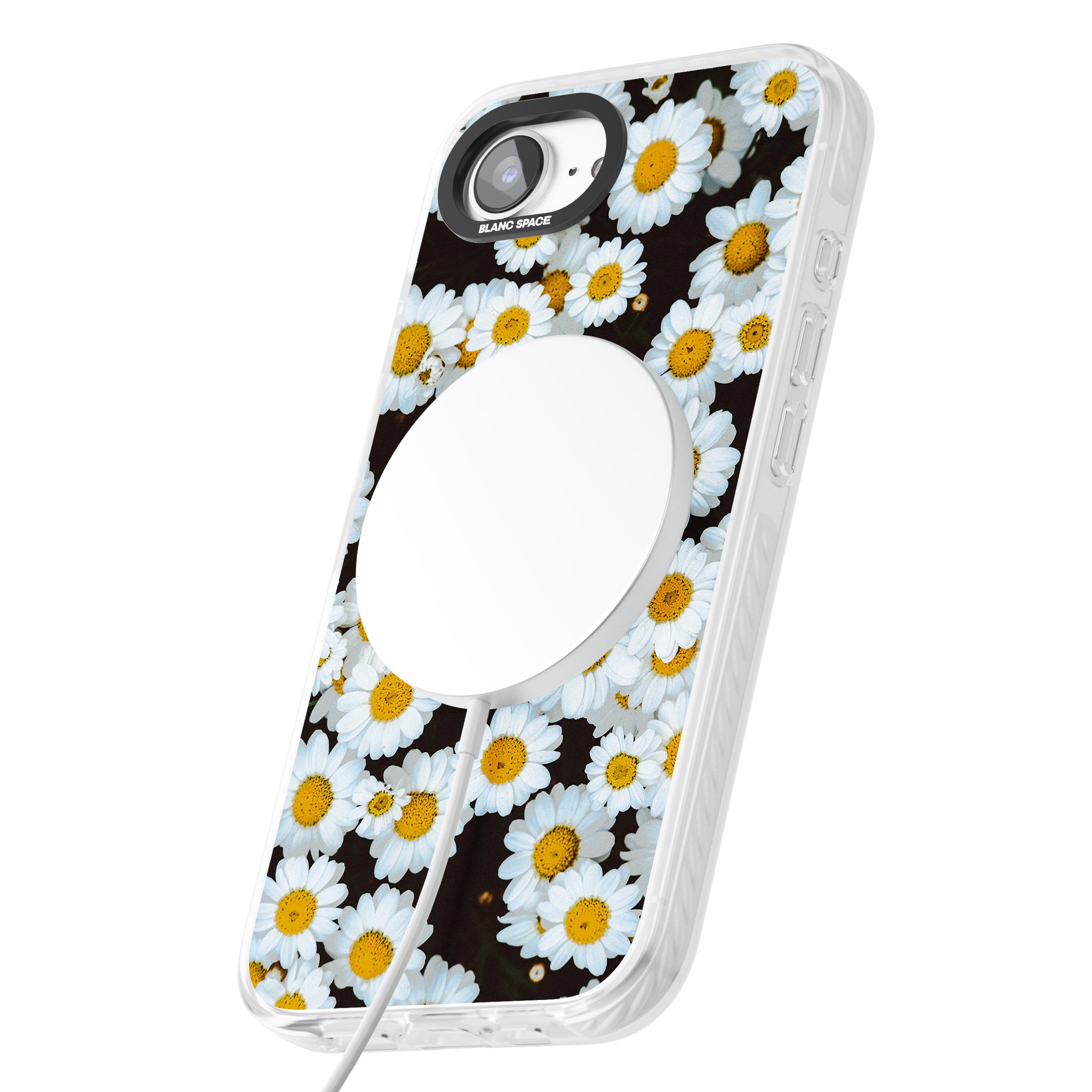 Daisy Dream