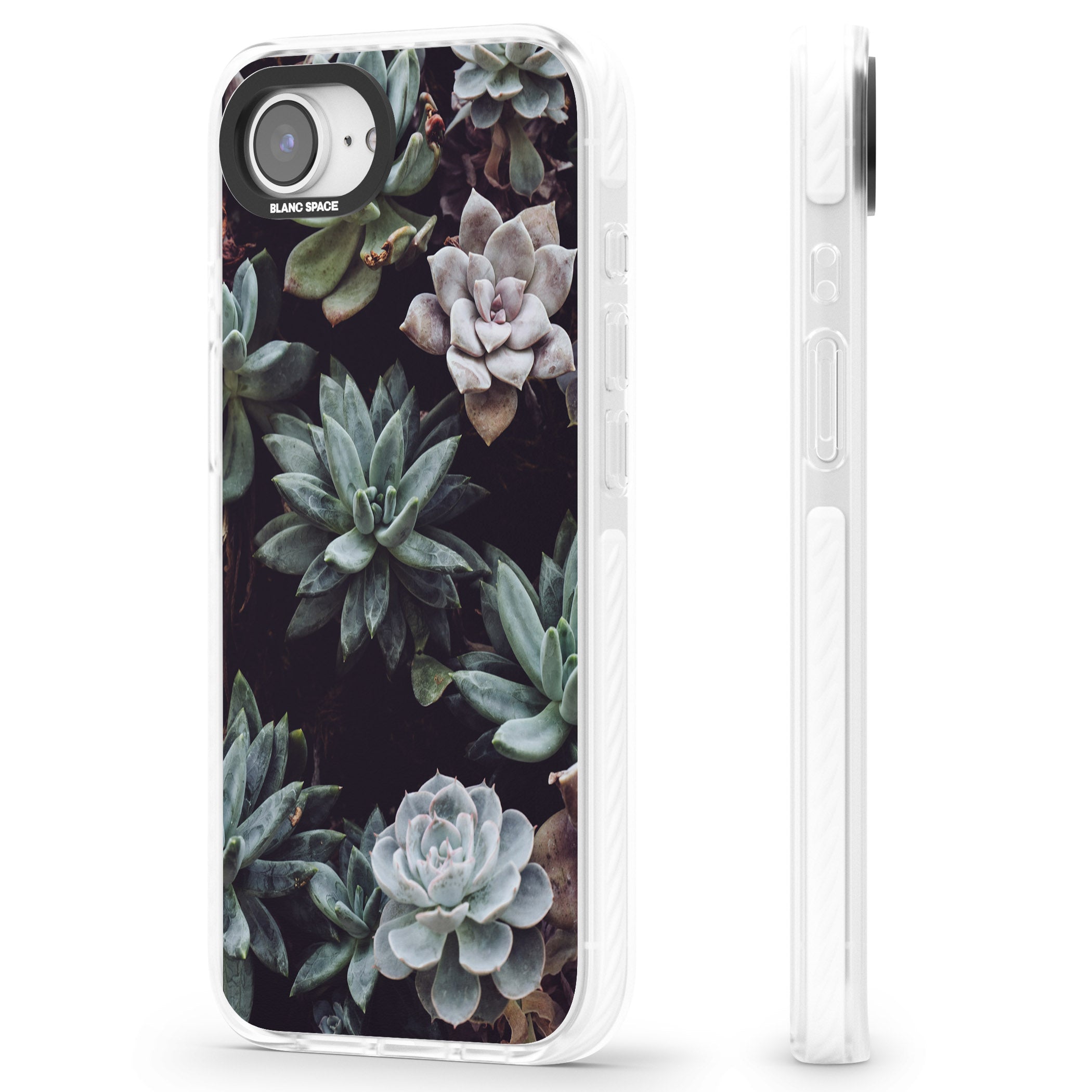 Succulent Bloom Mixed