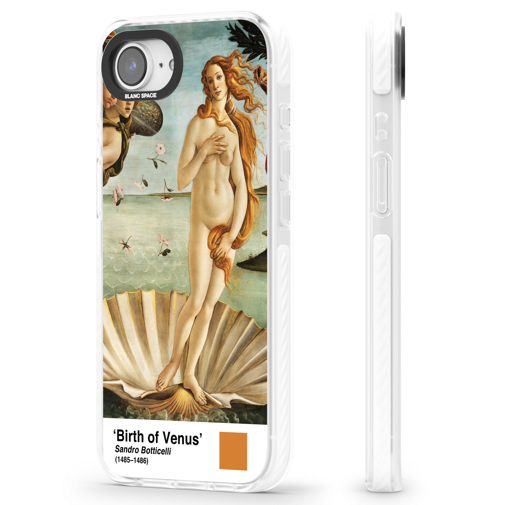 The Birth Of Venus