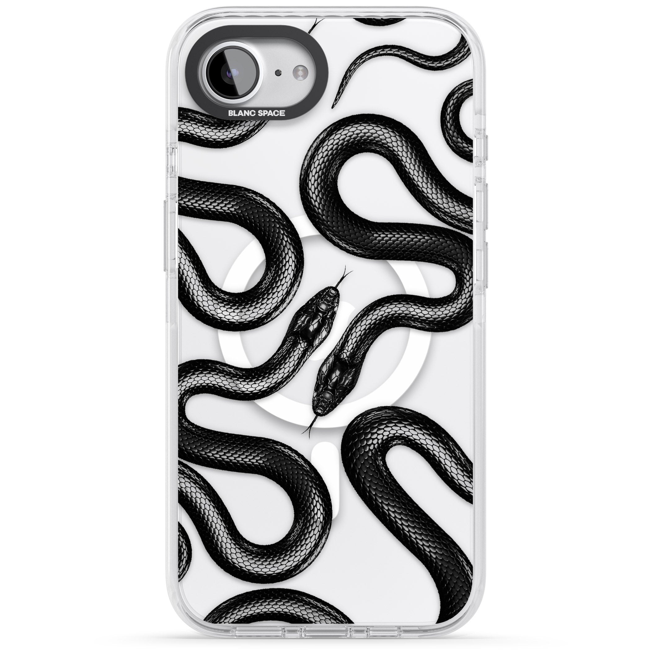 Black Kingsnake