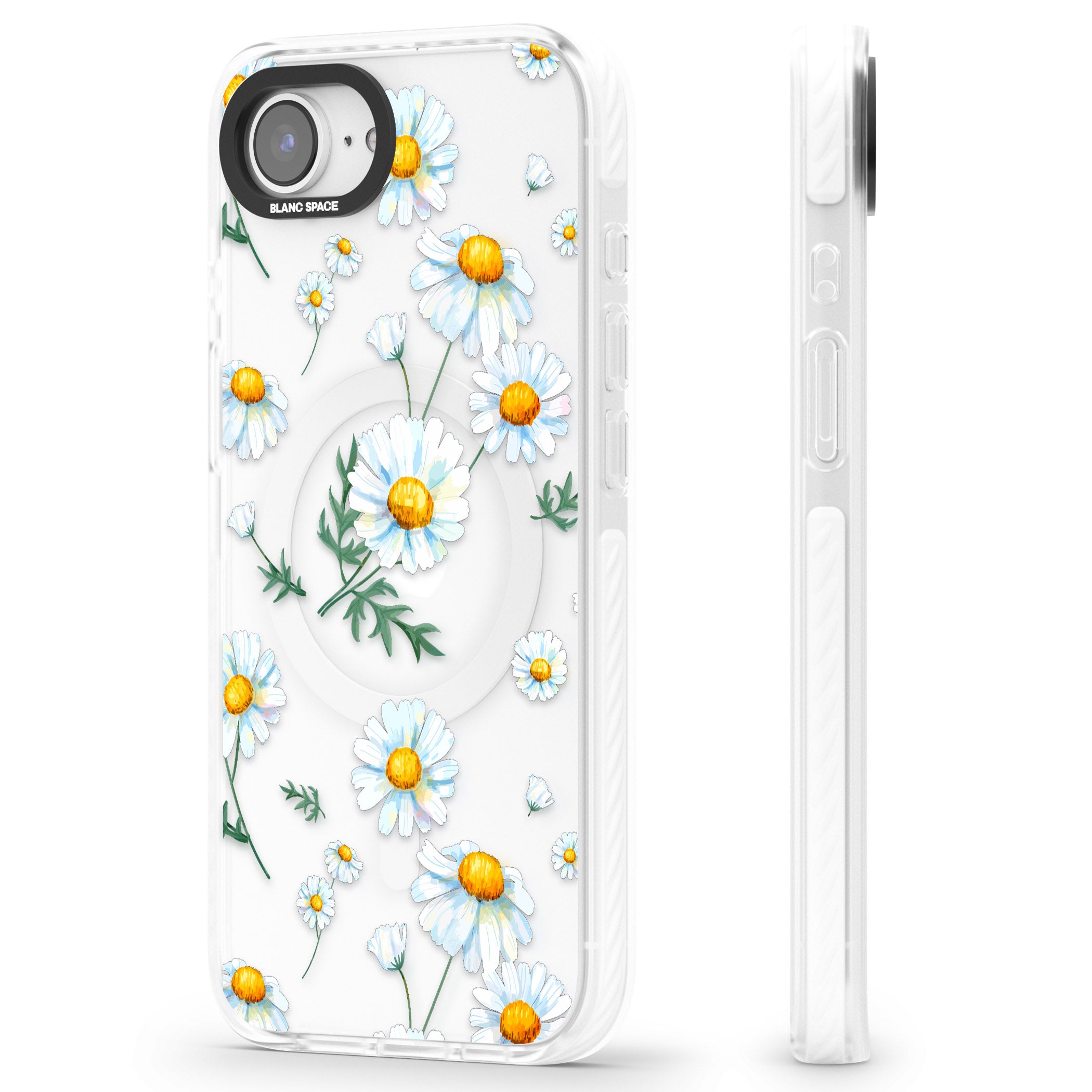 Vintage Painted Daisies