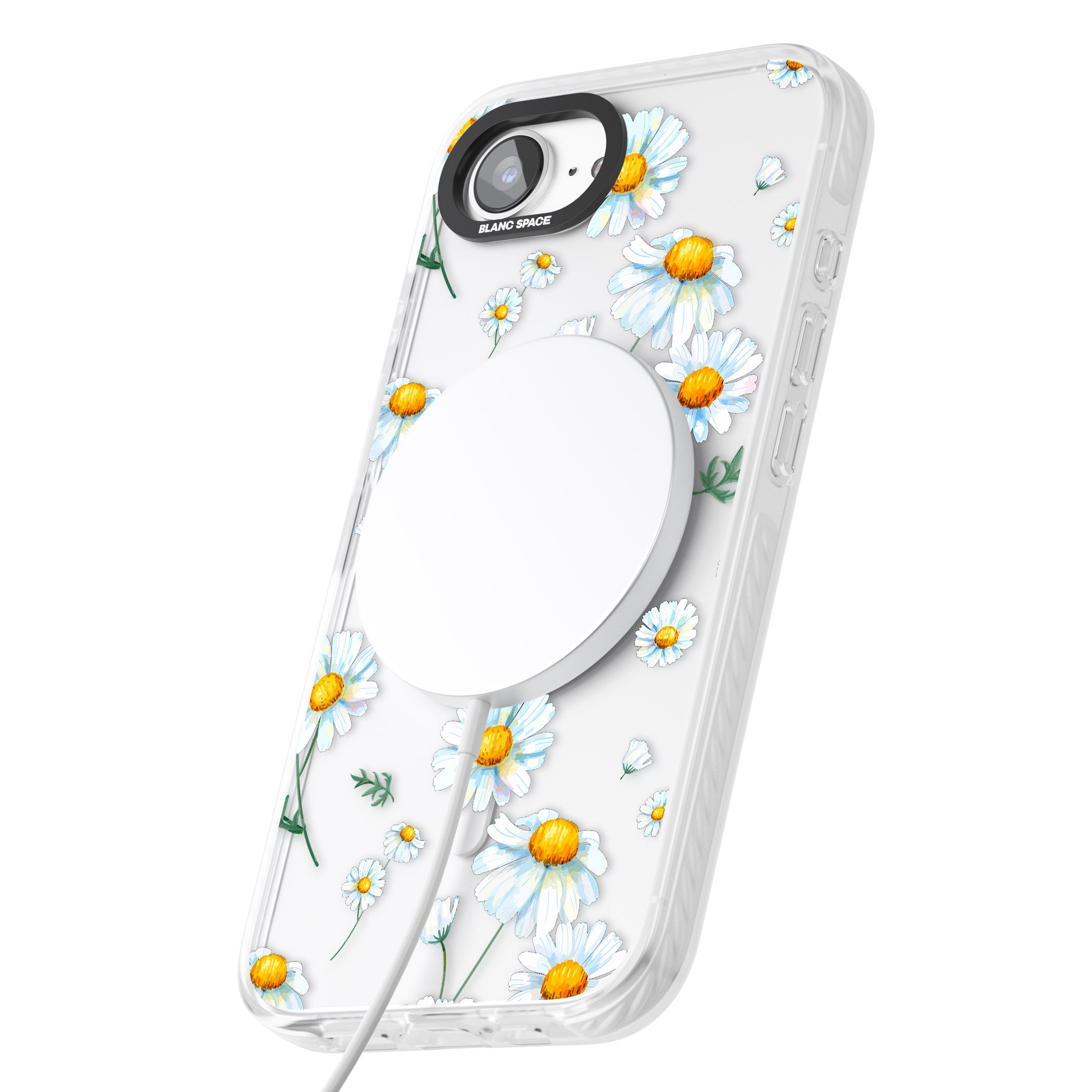 Vintage Painted Daisies