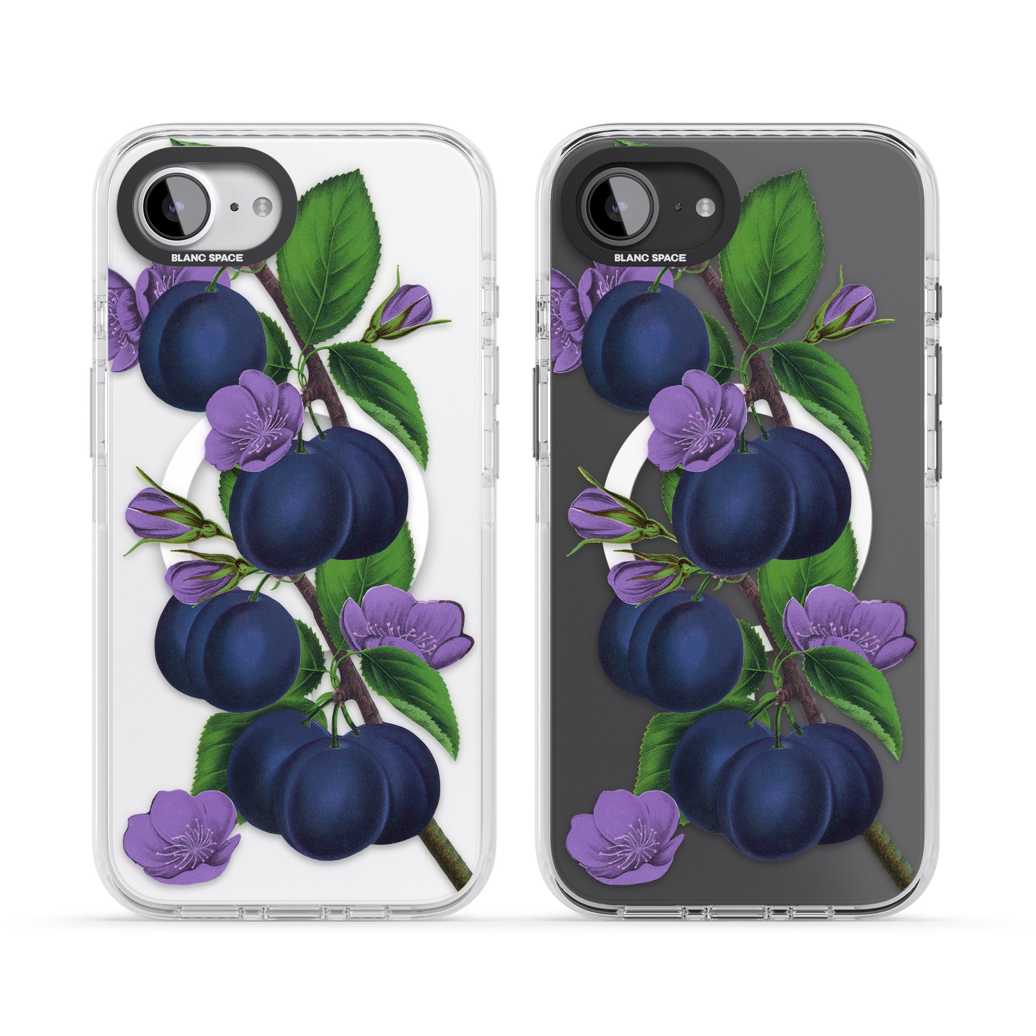 Vintage Painted Plums