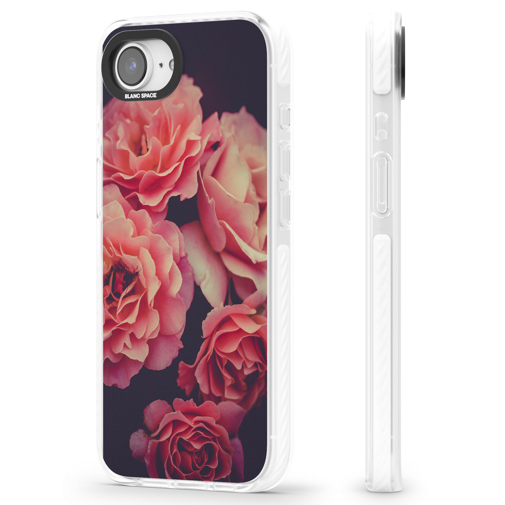 Midnight Rose Bloom