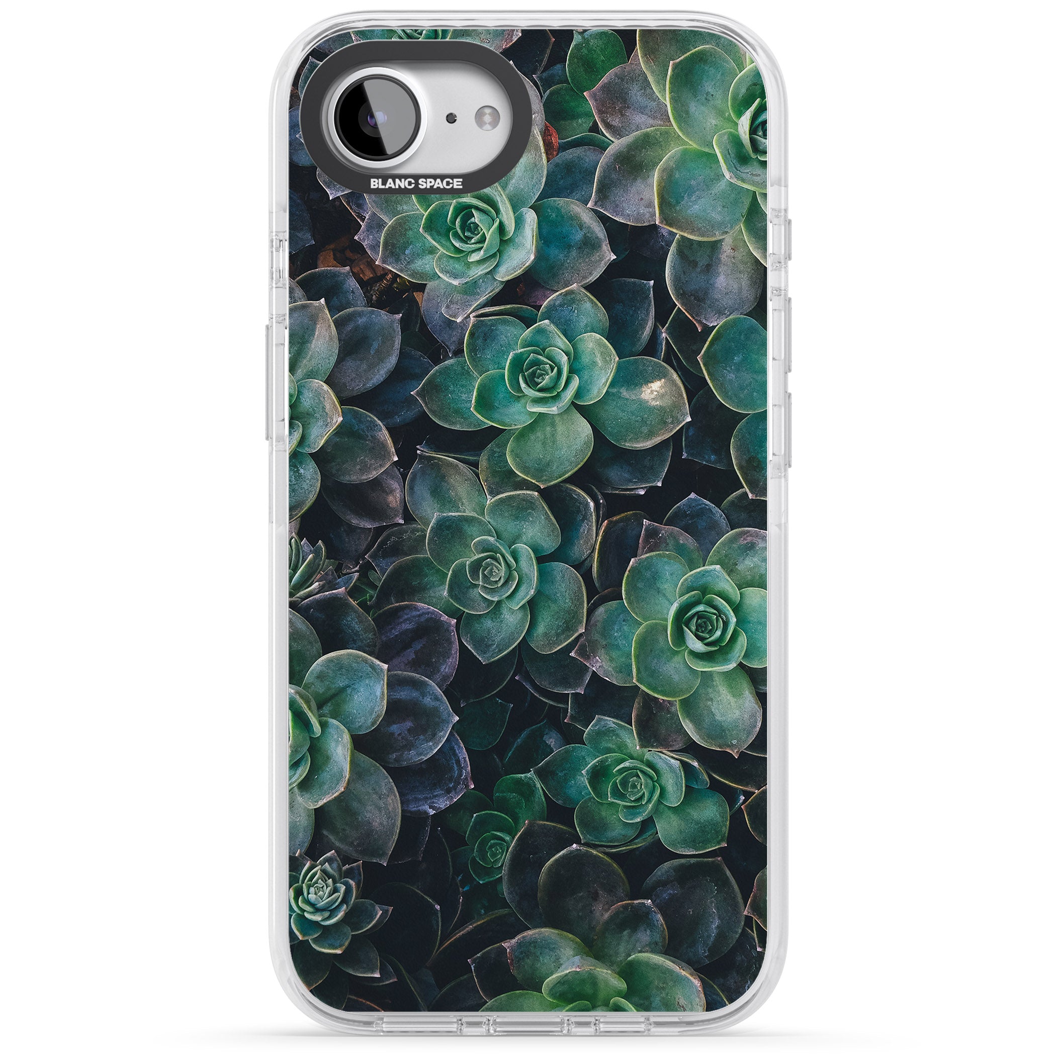 Succulent Bloom Botanical