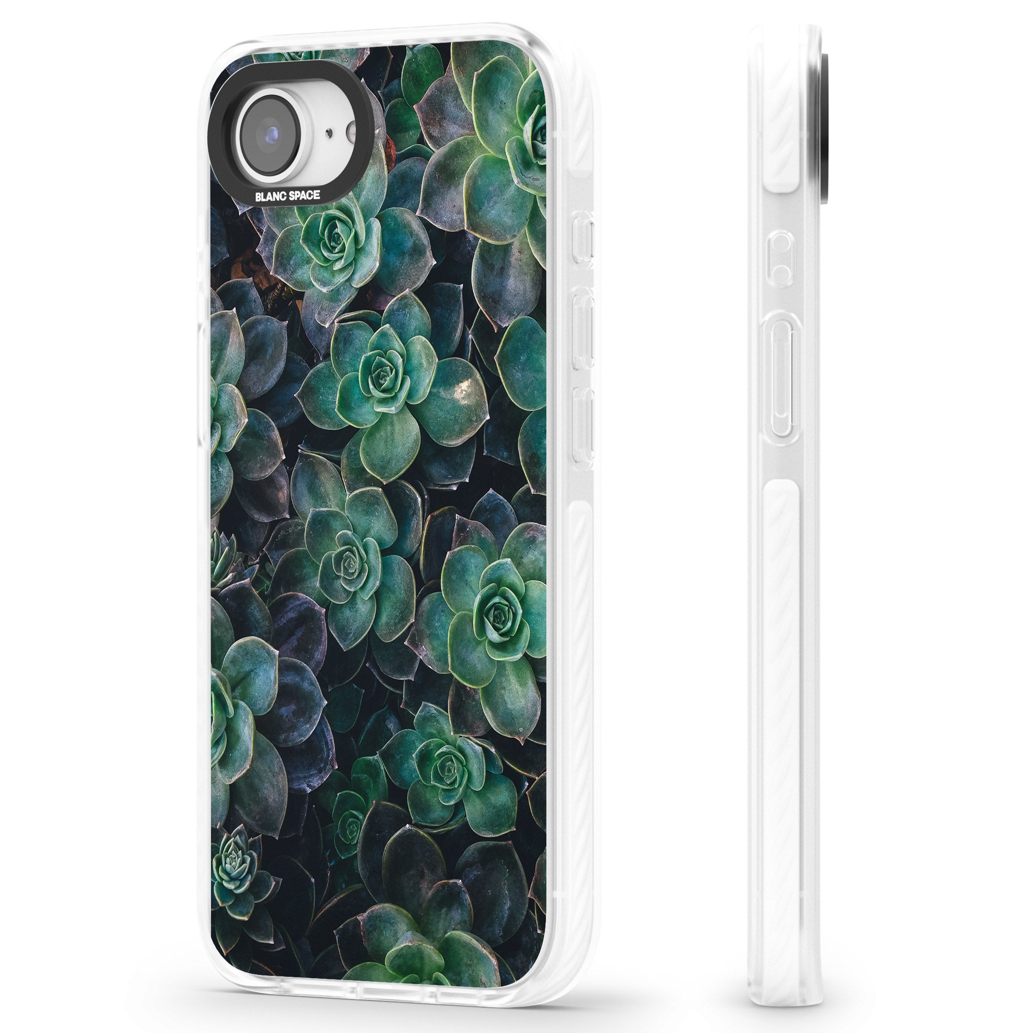 Succulent Bloom Botanical