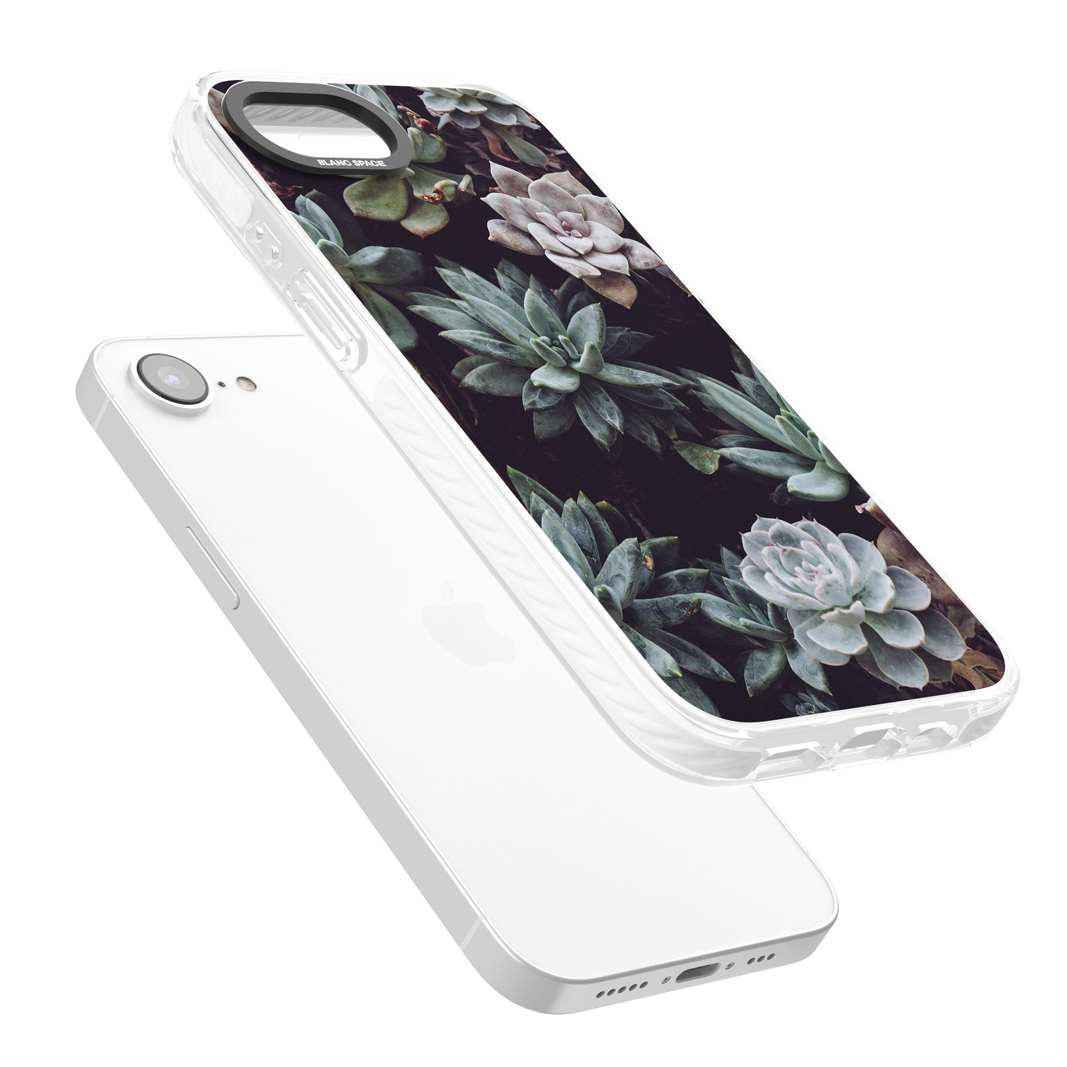 Succulent Bloom Mixed