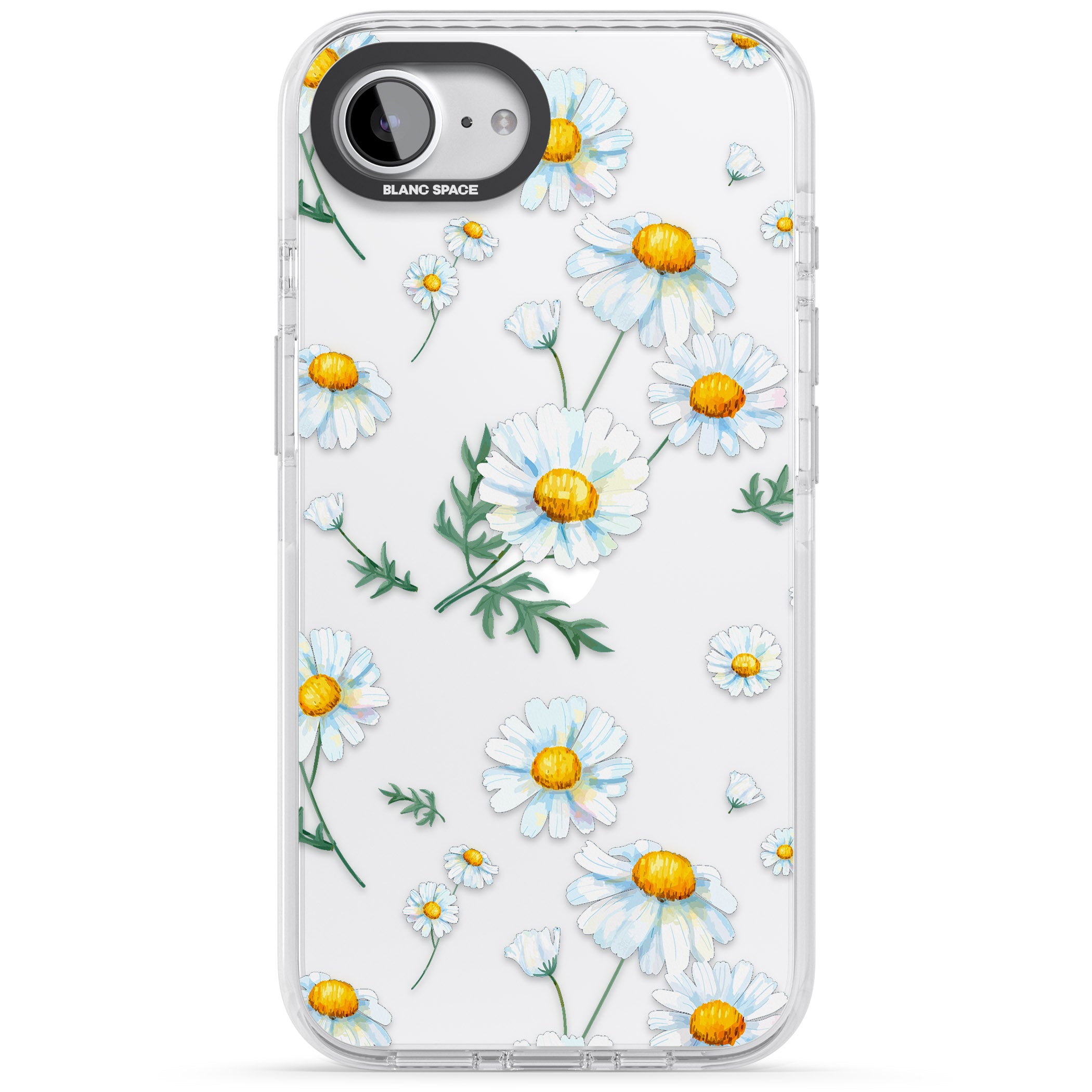 Vintage Painted Daisies