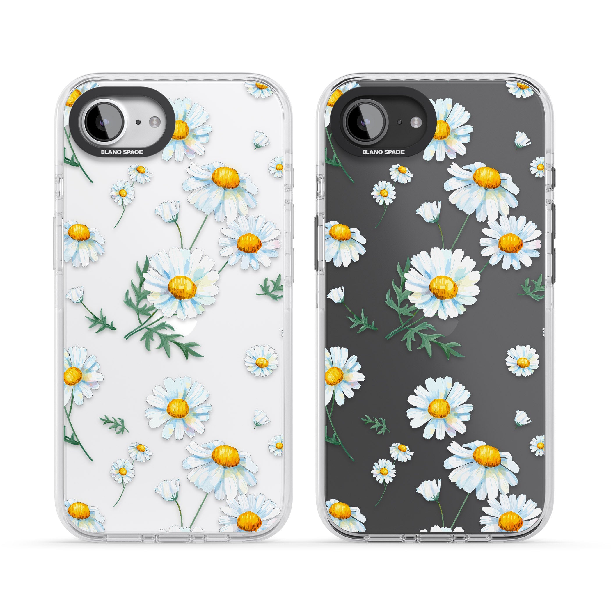 Vintage Painted Daisies