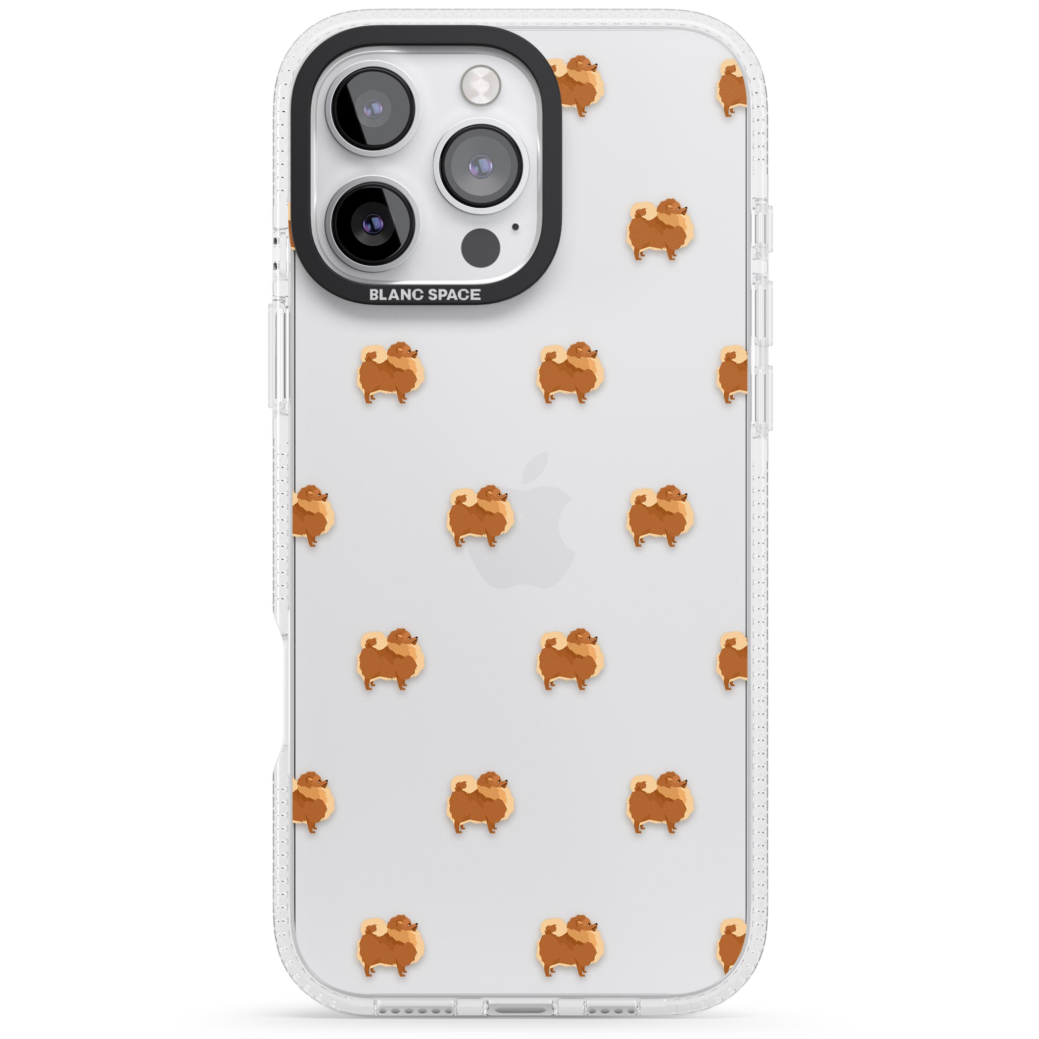 Pomeranian Delight