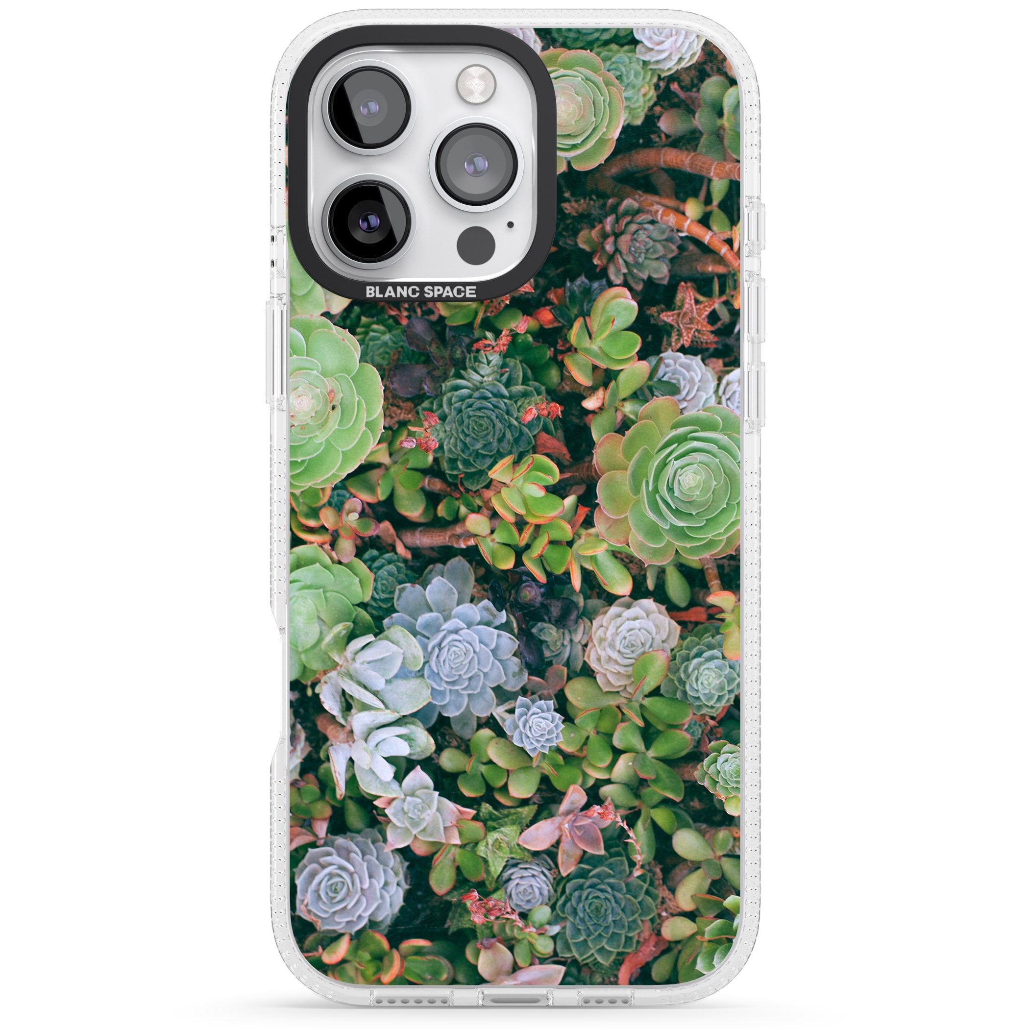 Colourful Succulents Photograph iPhone 16 Pro Max / 16 Pro Clear Case Impact Air - Blanc Space